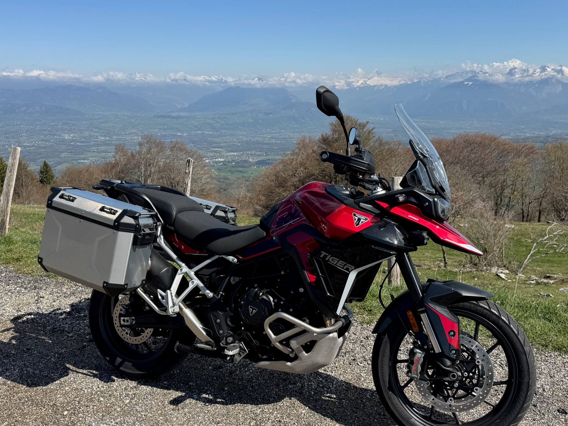 TRIUMPH 900 GT PRO-image-7