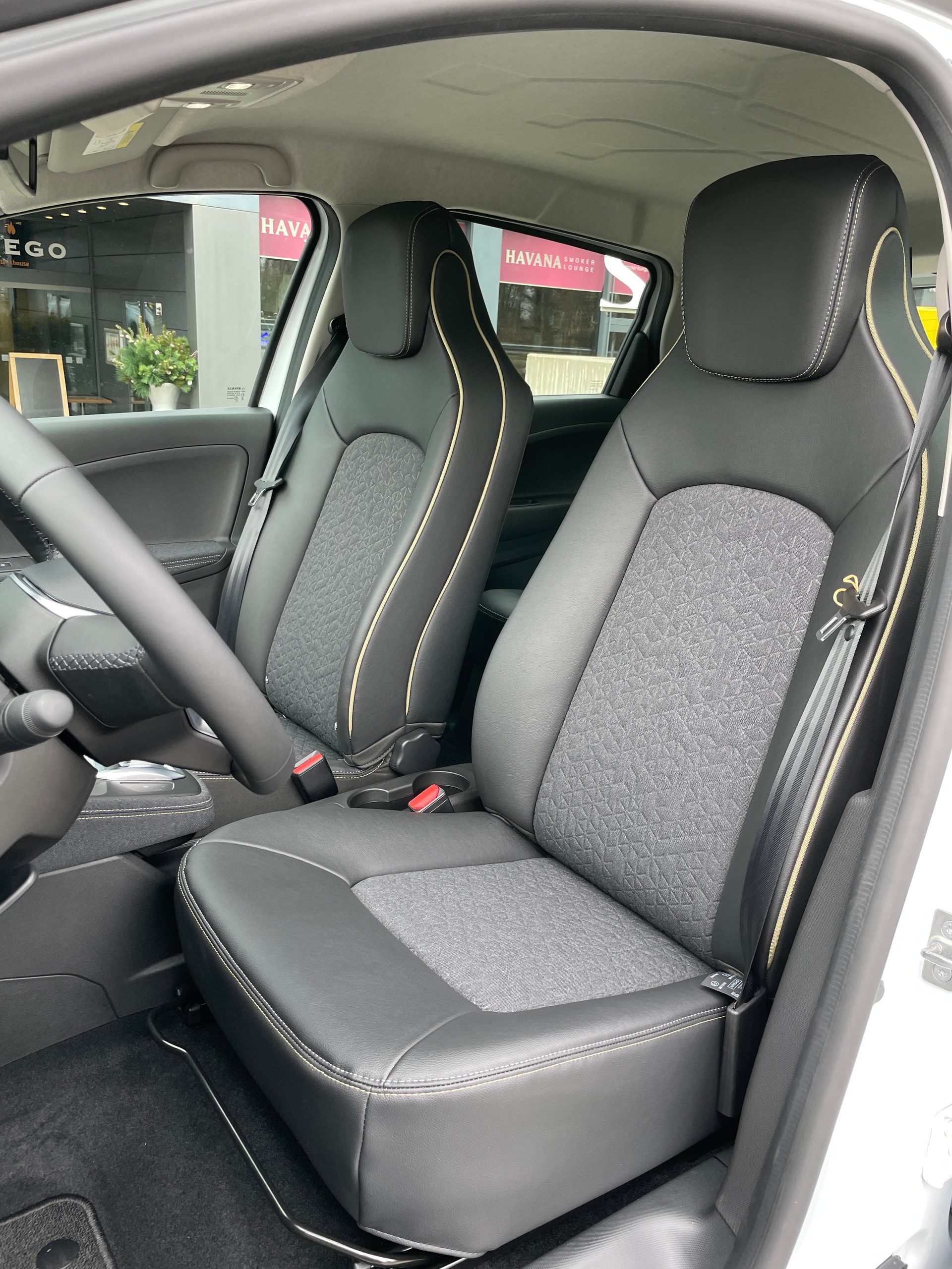 RENAULT Zoe R135 (inkl. Batterie) Iconic-image-14