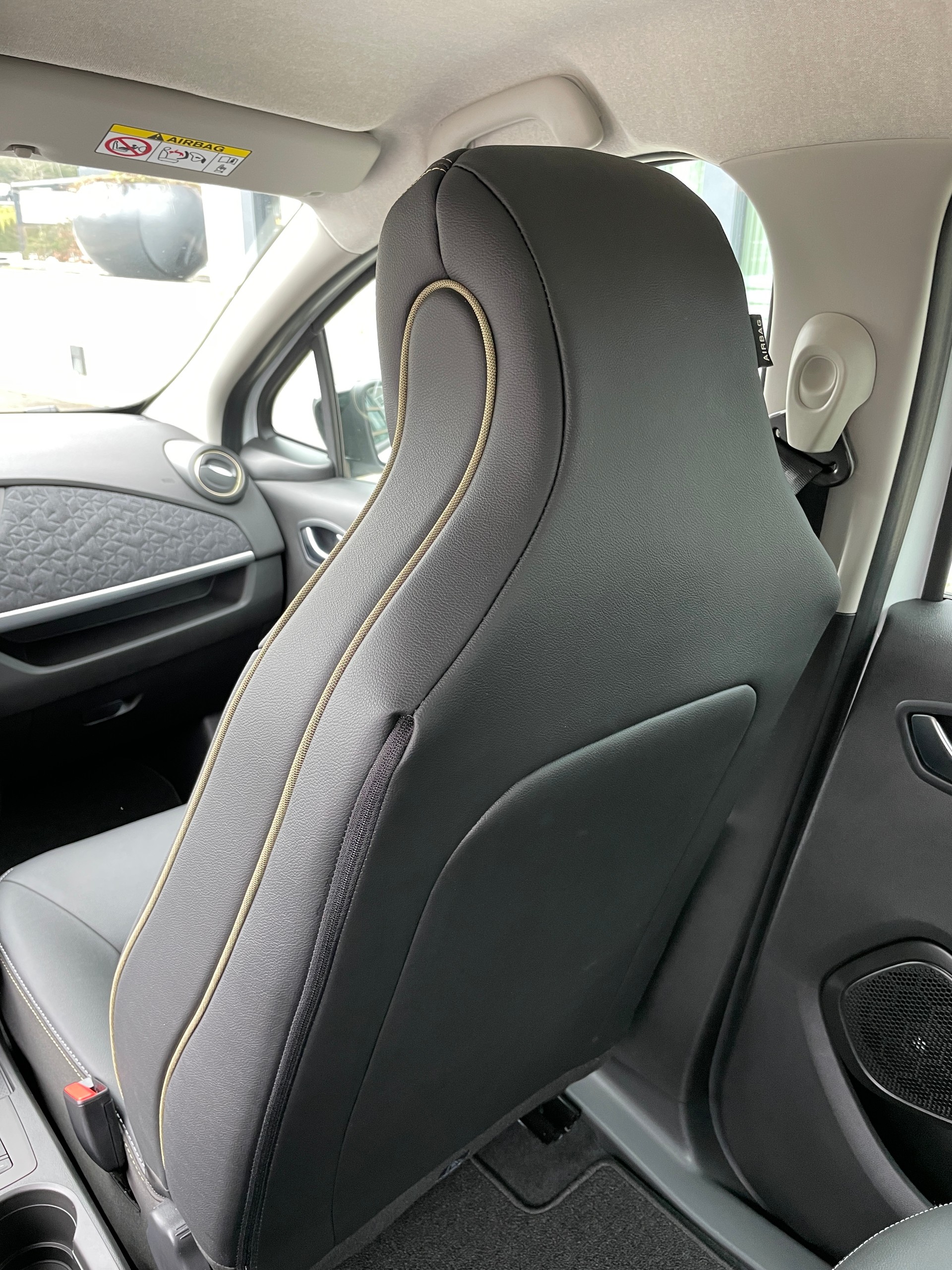 RENAULT Zoe R135 (inkl. Batterie) Iconic-image-18