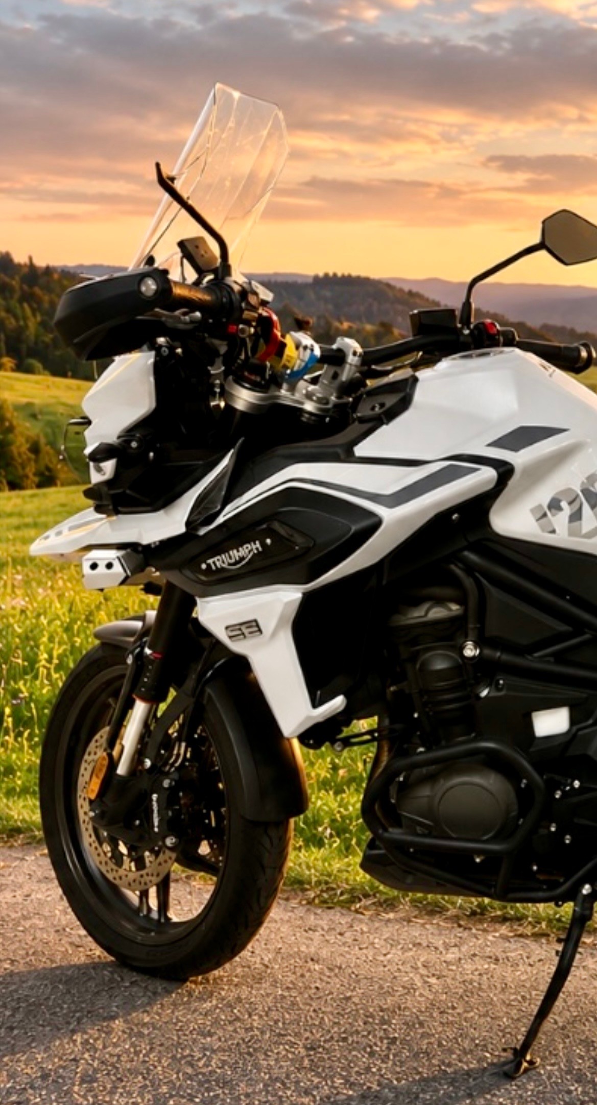 TRIUMPH Tiger 1200 Alpine Edition-image-5