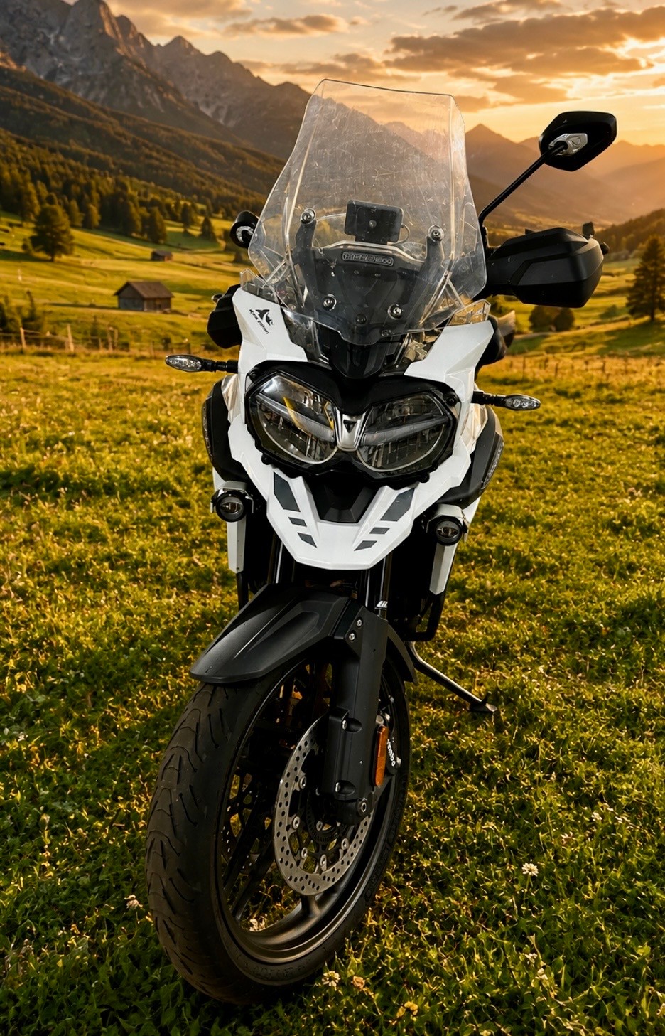 TRIUMPH Tiger 1200 Alpine Edition-image-4
