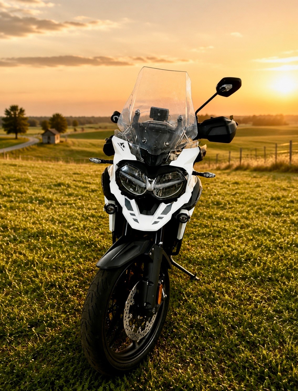 TRIUMPH Tiger 1200 Alpine Edition-image-2