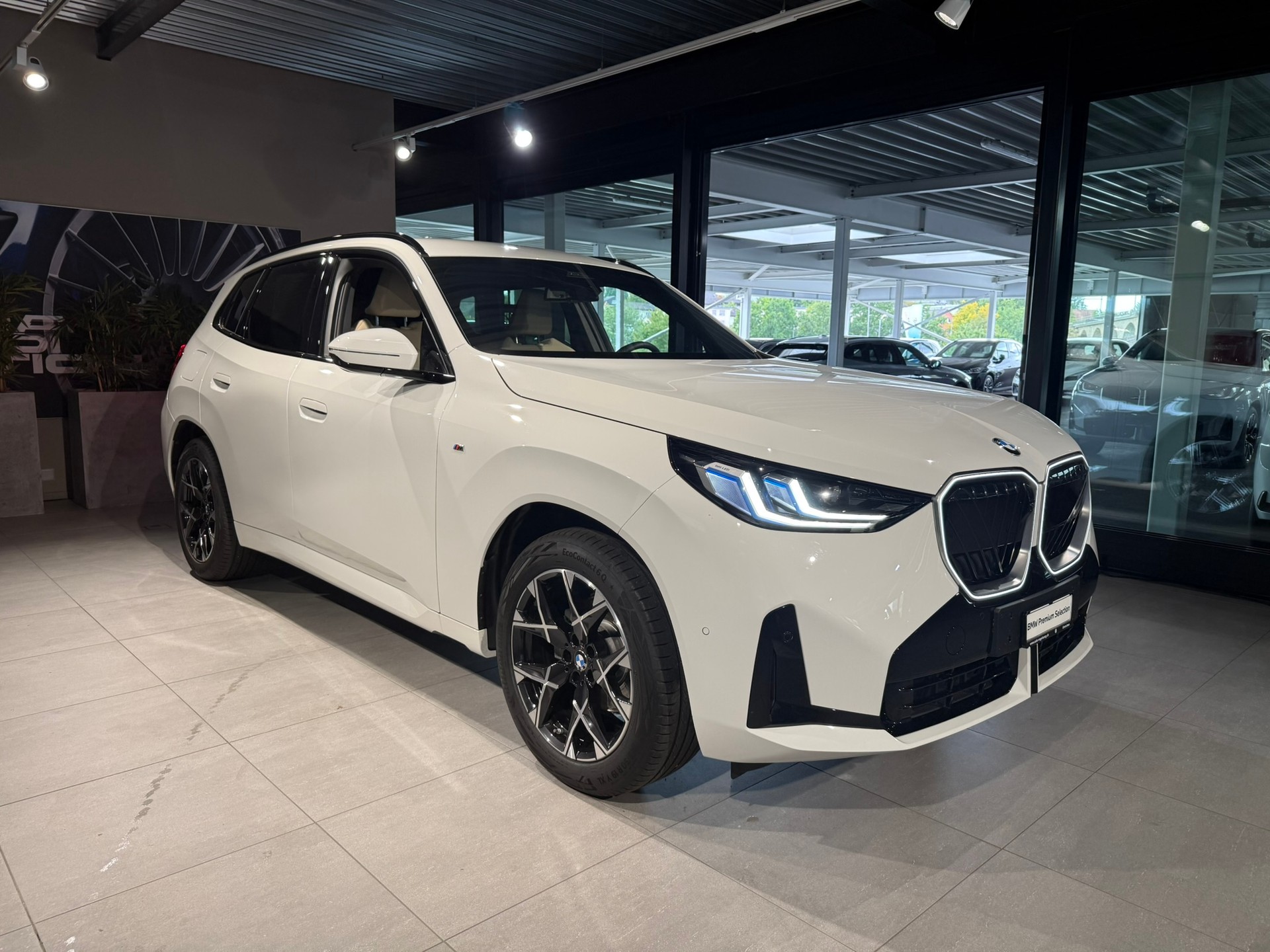 BMW X3 xDrive 48V 20d M Sport-showroom-element-1