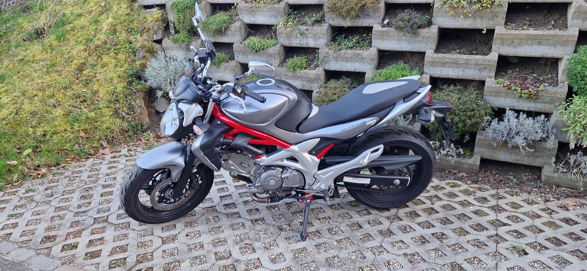 SUZUKI SFV 650 Gladius ABS-image-0