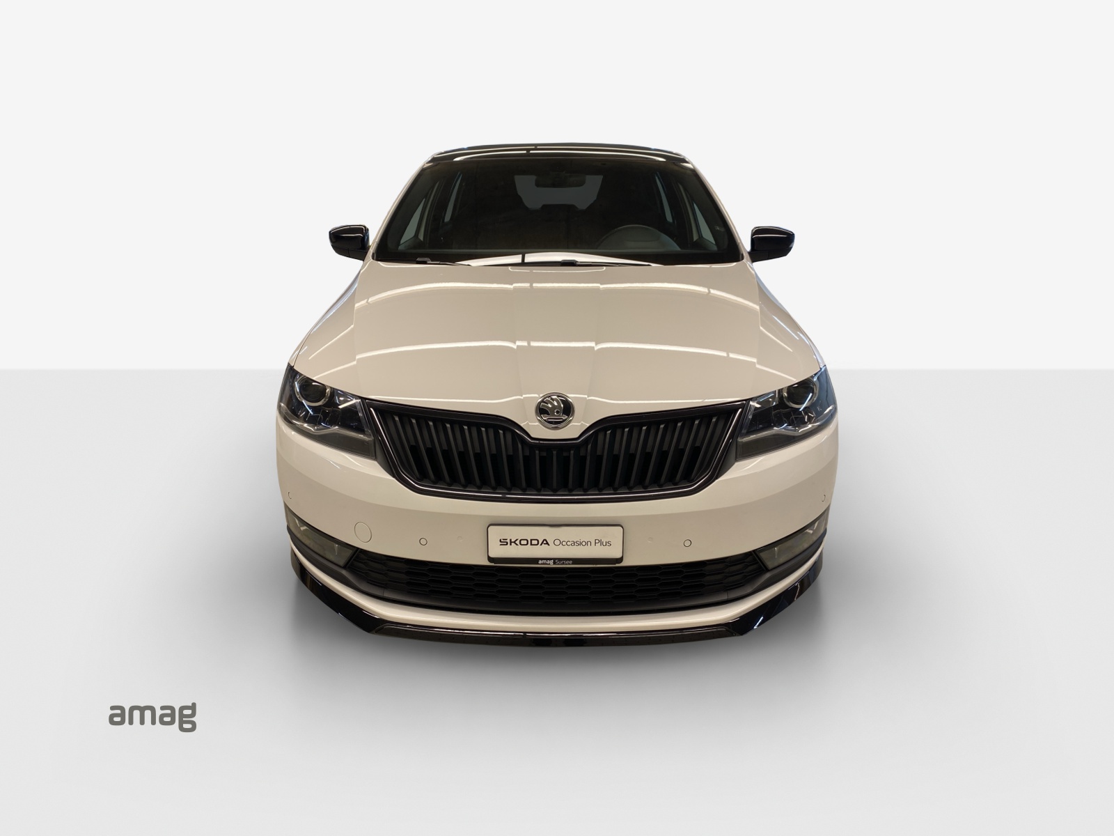 SKODA Rapid Spaceback 1.0 TSI Monte Carlo DSG-image-6