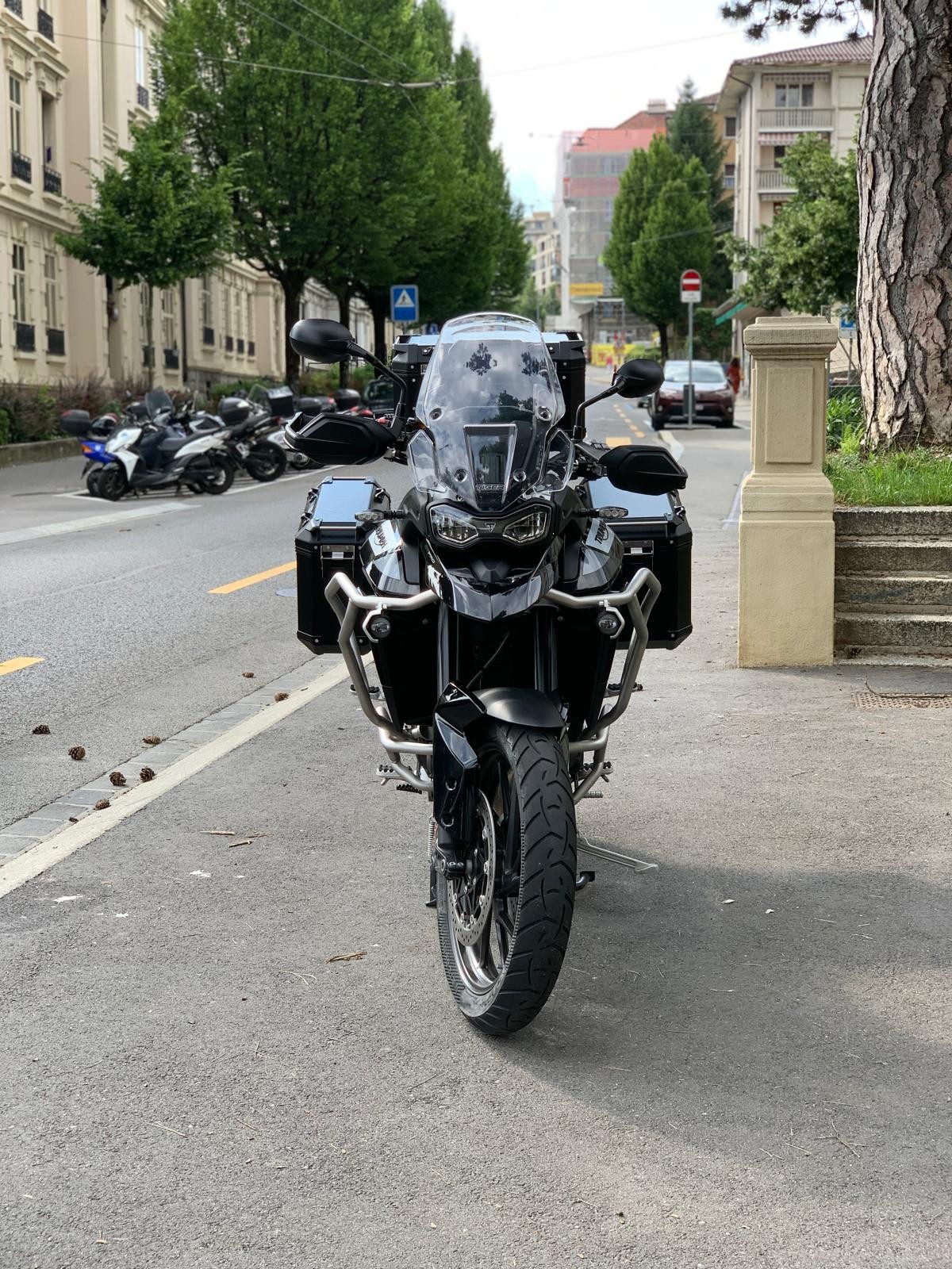 TRIUMPH Tiger 900 GT Pro-image-6