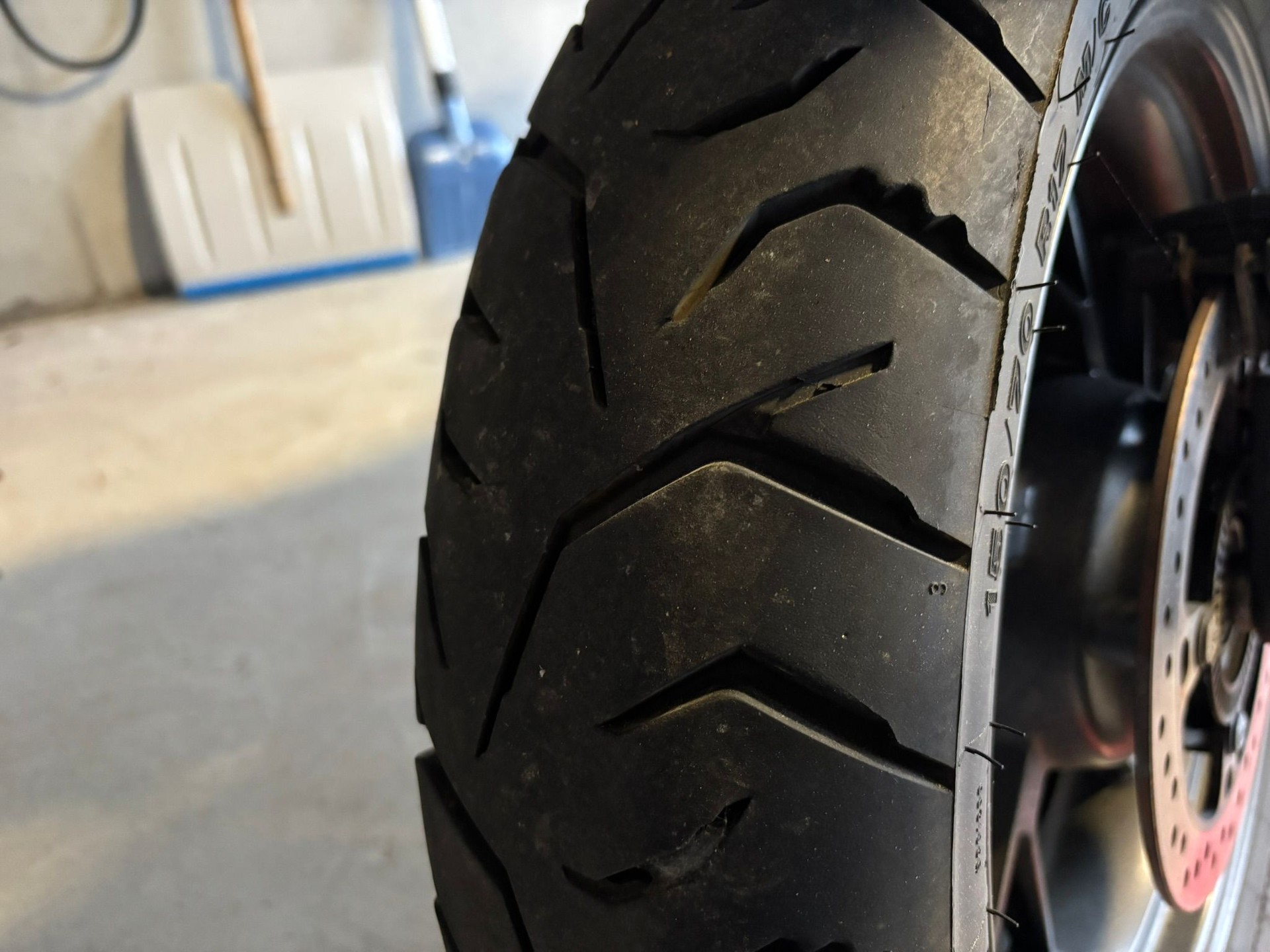 TRIUMPH Tiger 900 GT Pro-image-8