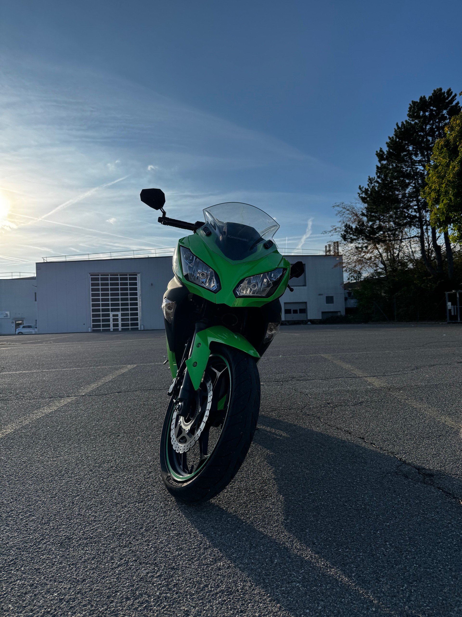 KAWASAKI Ninja 300 ABS-image-4