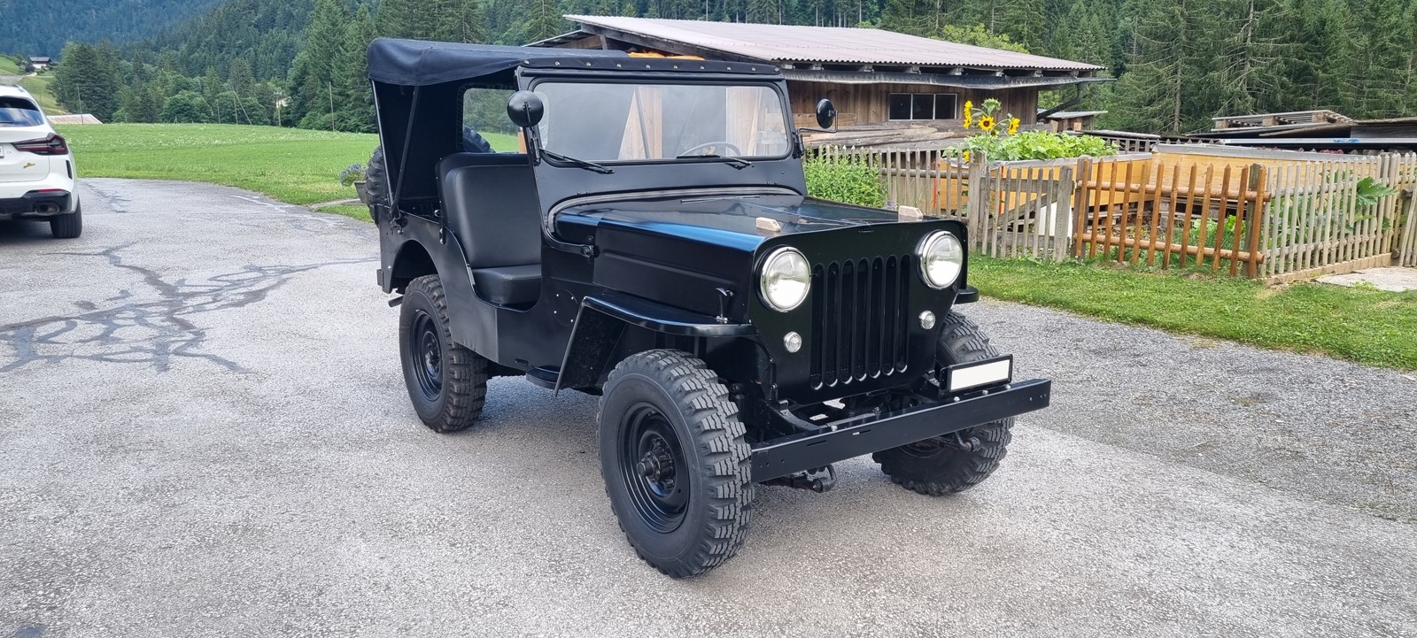 WILLYS Jeep Willys CJ-3B-image-2