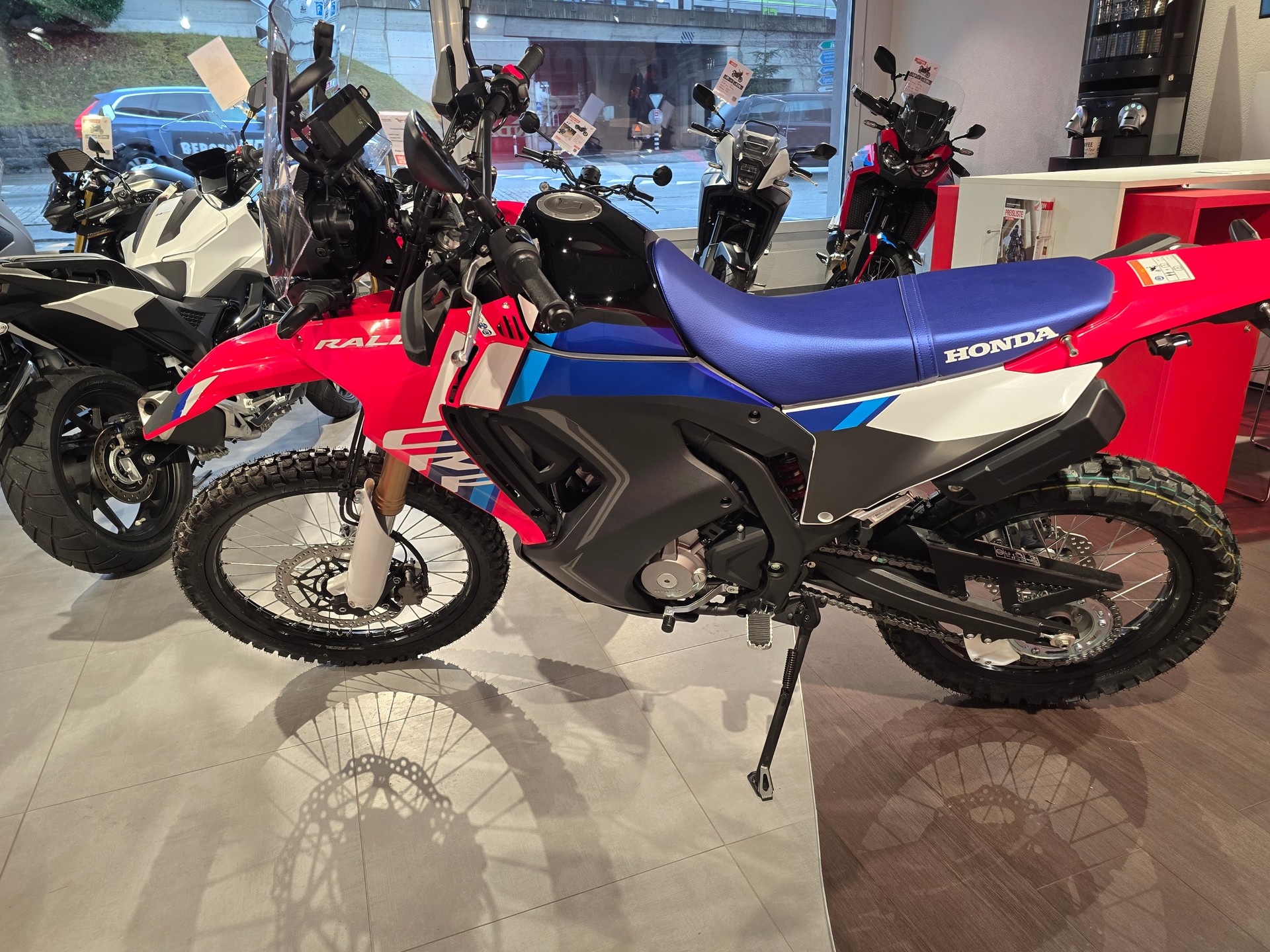 HONDA CRF 300 Rally-image-3