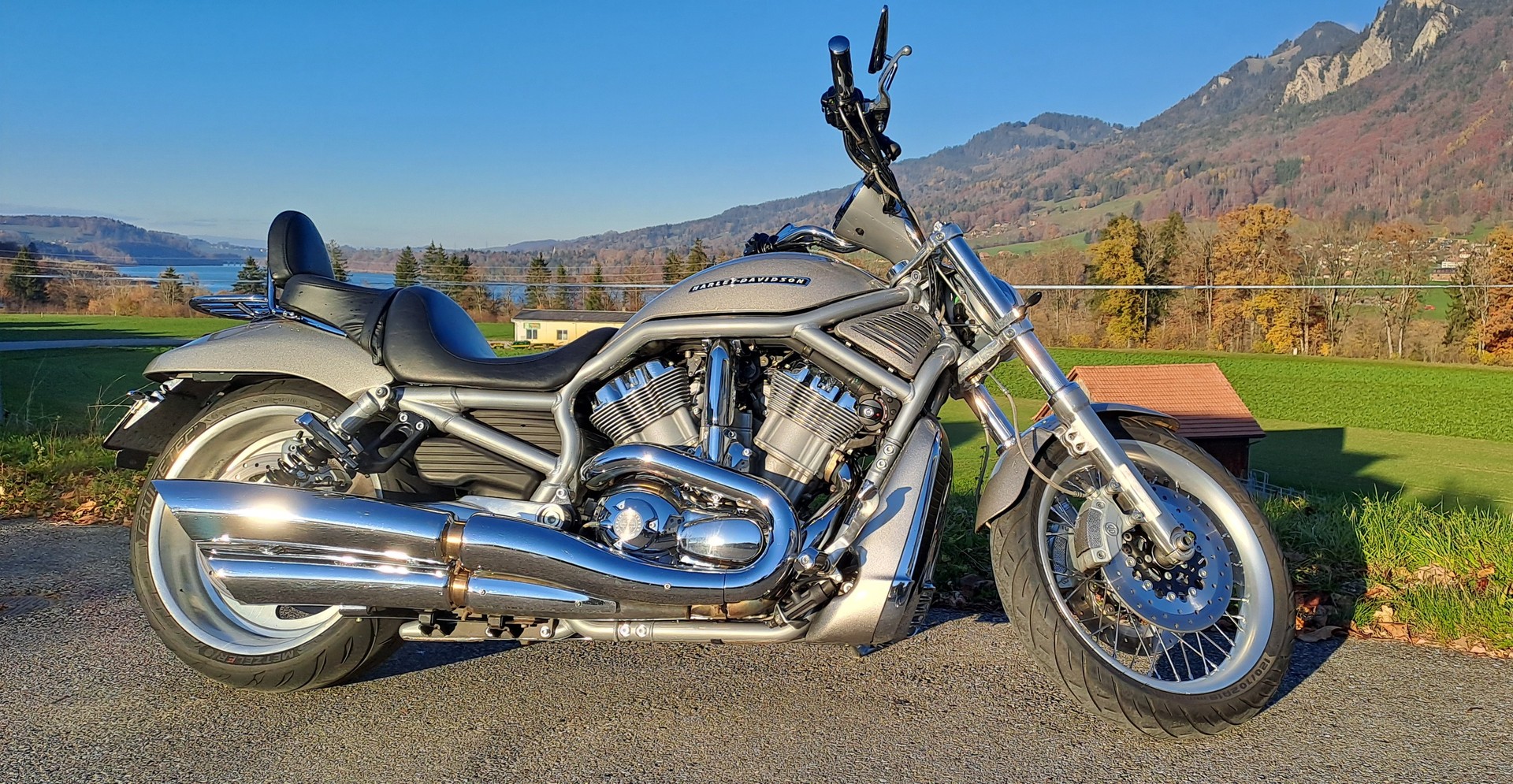 HARLEY-DAVIDSON VRSCAW V-Rod-image-5