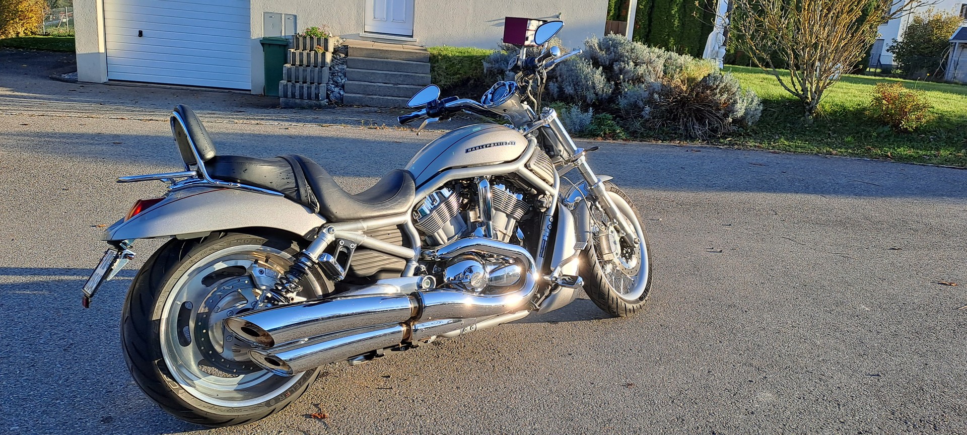 HARLEY-DAVIDSON VRSCAW V-Rod-image-1