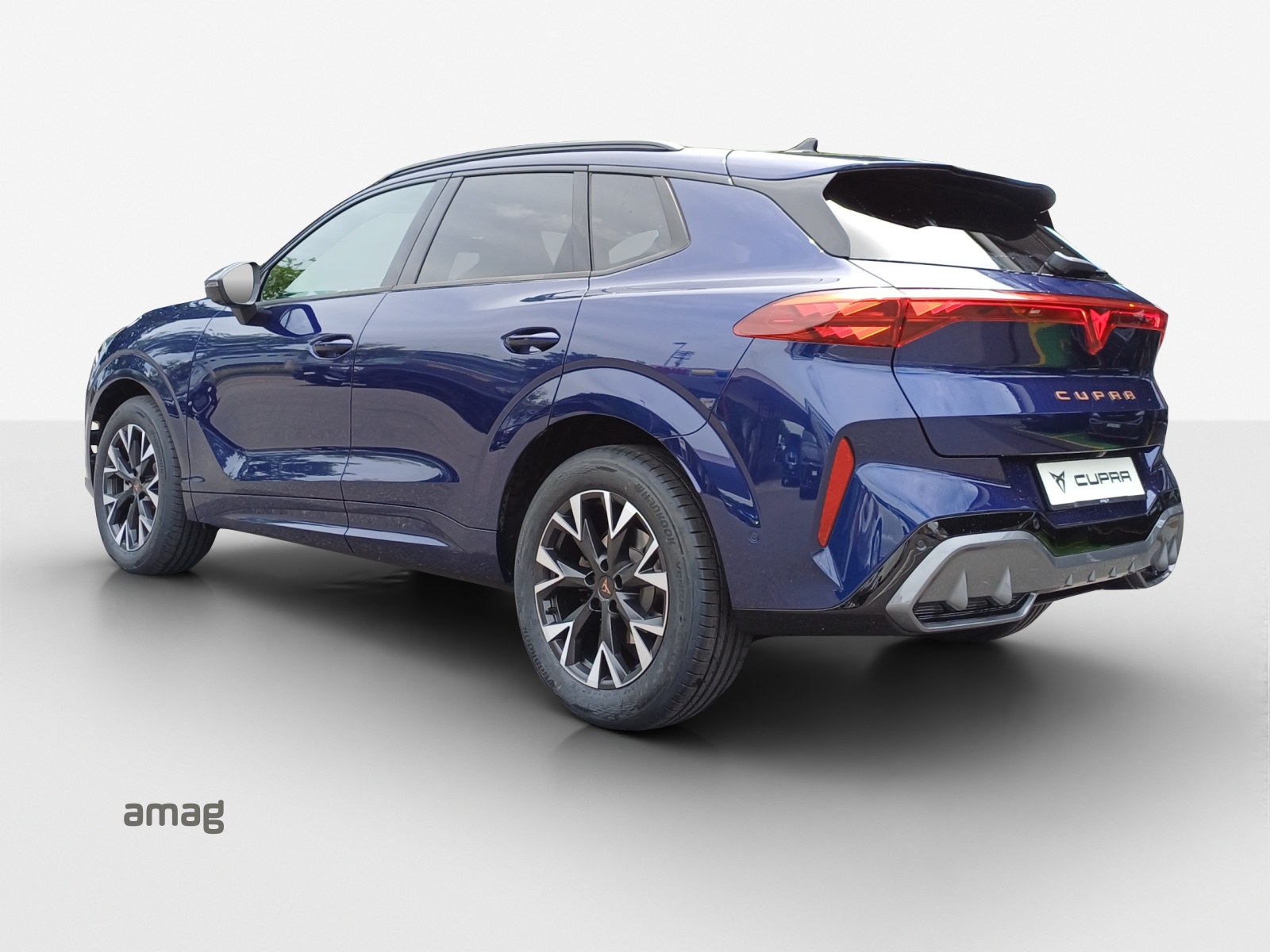 CUPRA Terramar 2.0 TSI DSG 4Drive-showroom-element-2