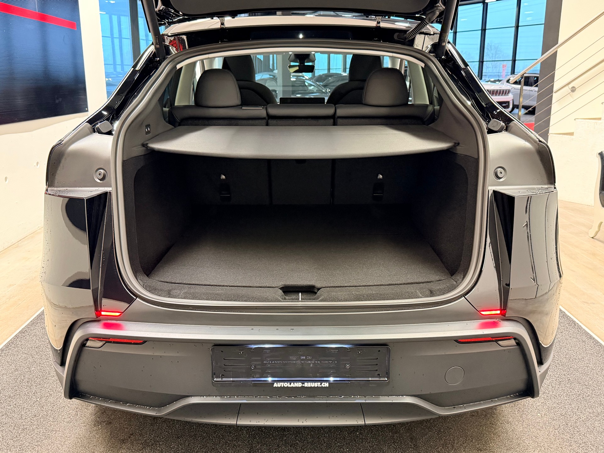 TESLA Model Y Long Range Premium AWD-image-8