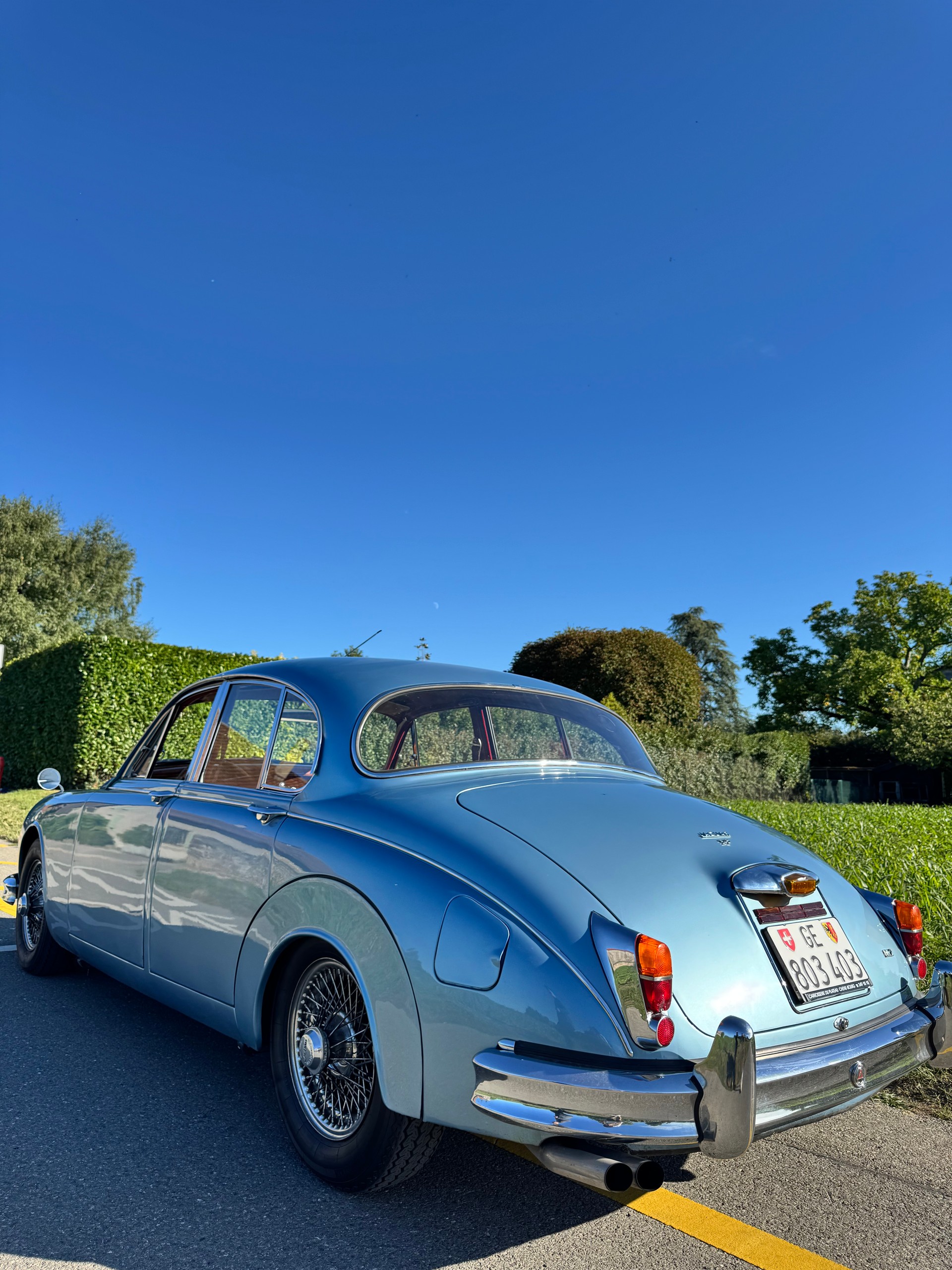 JAGUAR 3.8 - Statut Vétéran-image-2
