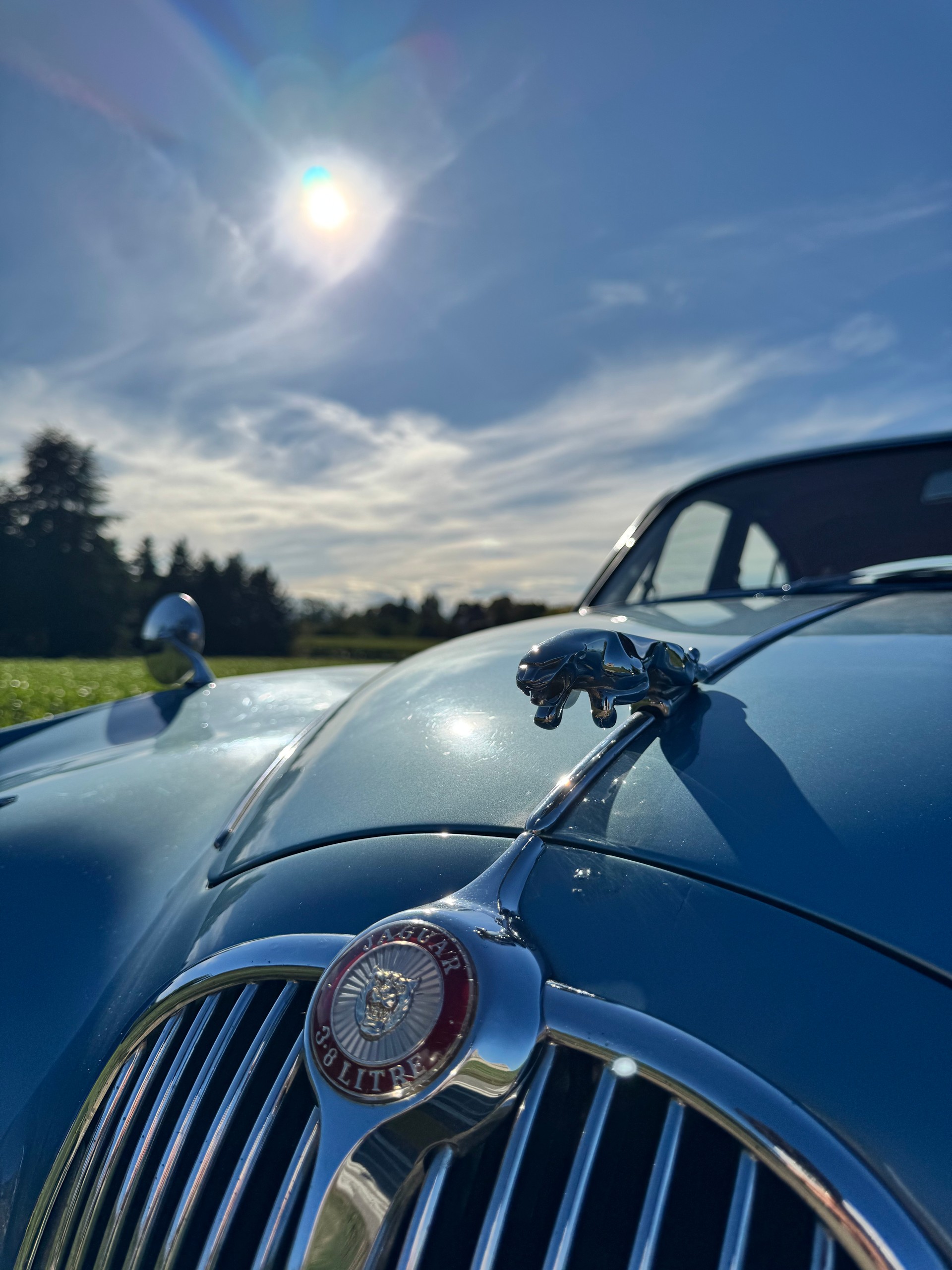 JAGUAR 3.8 - Statut Vétéran-image-3