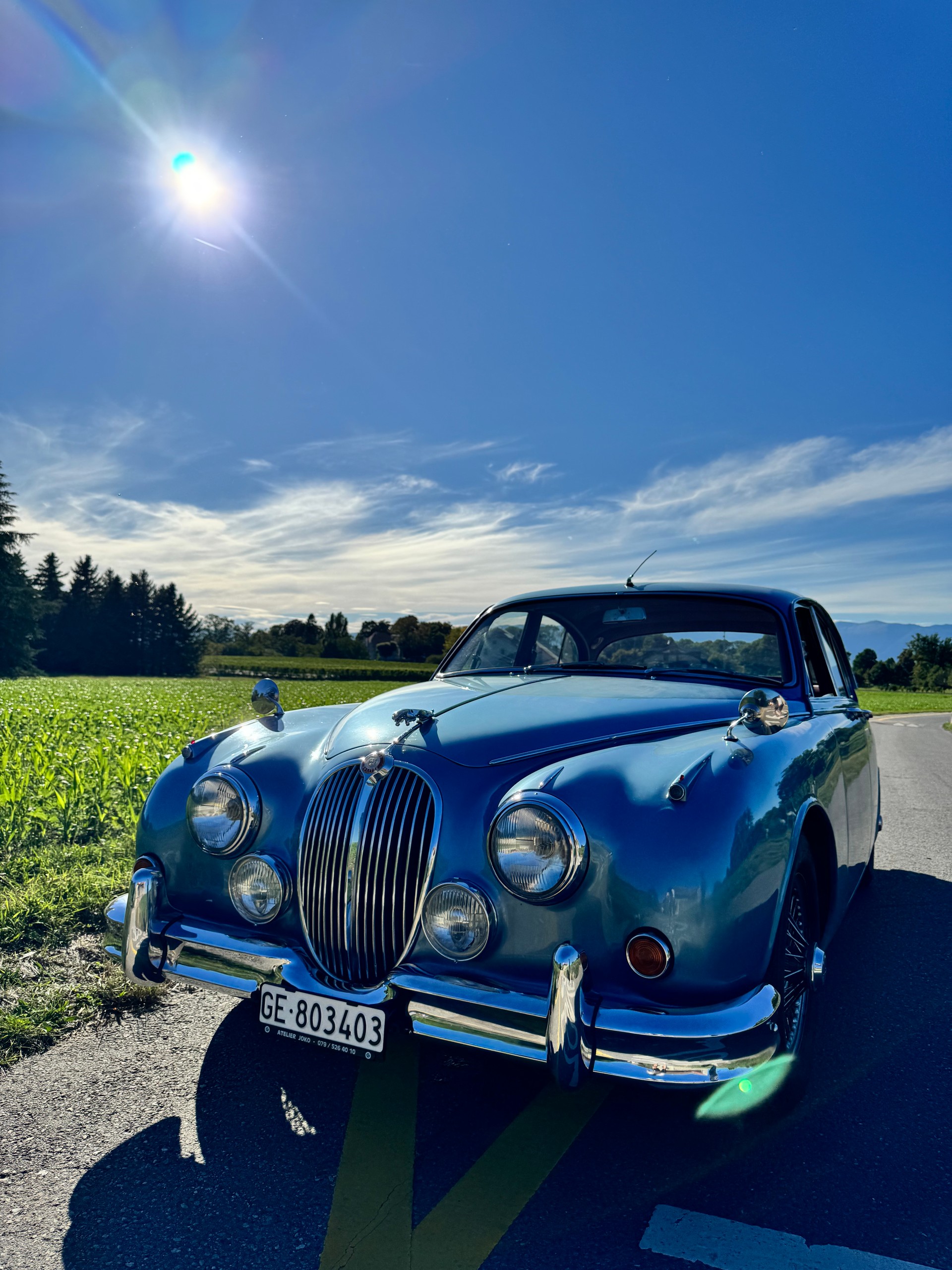 JAGUAR 3.8 - Statut Vétéran