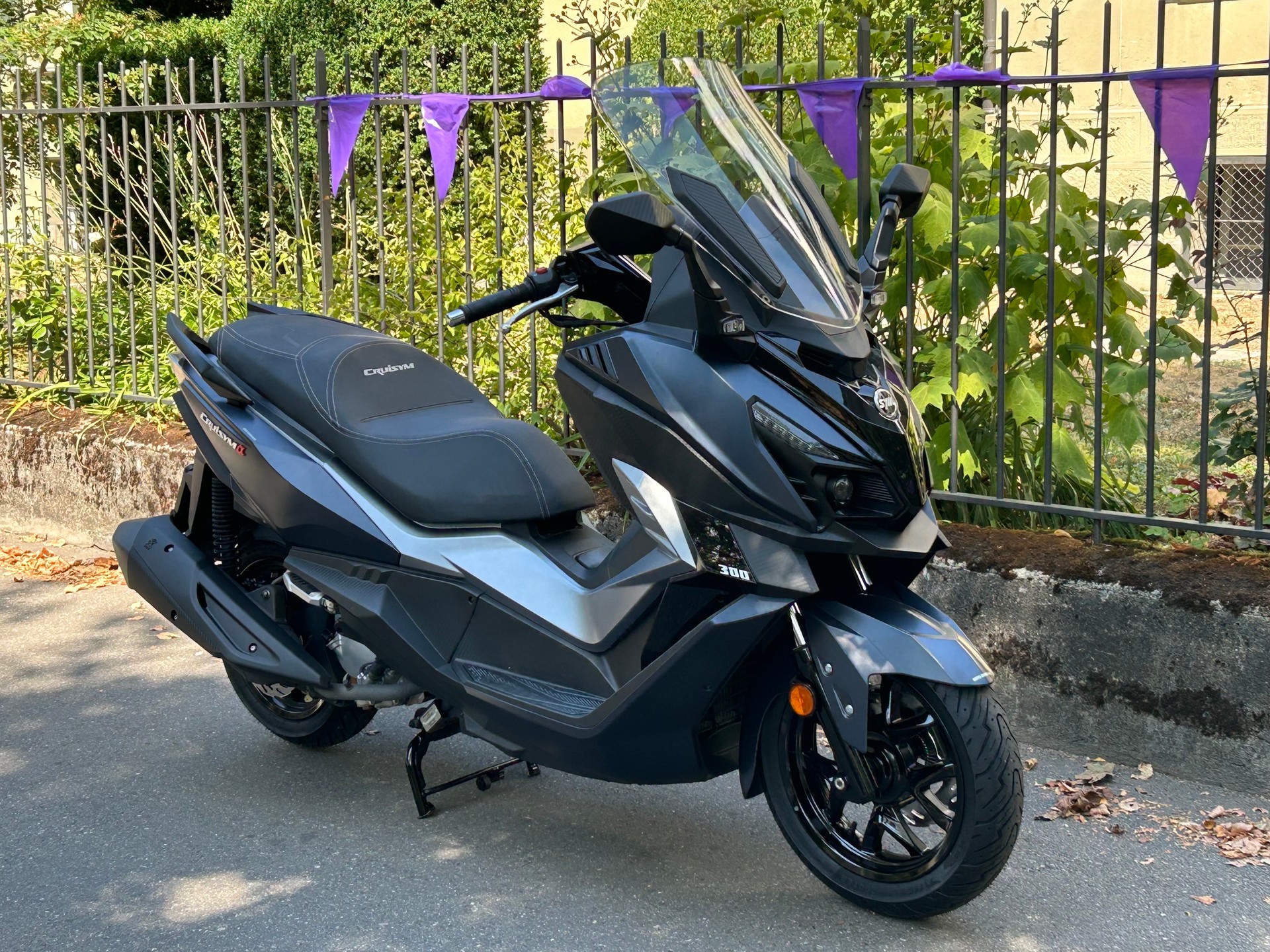 SYM Cruisym 300 i-image-2