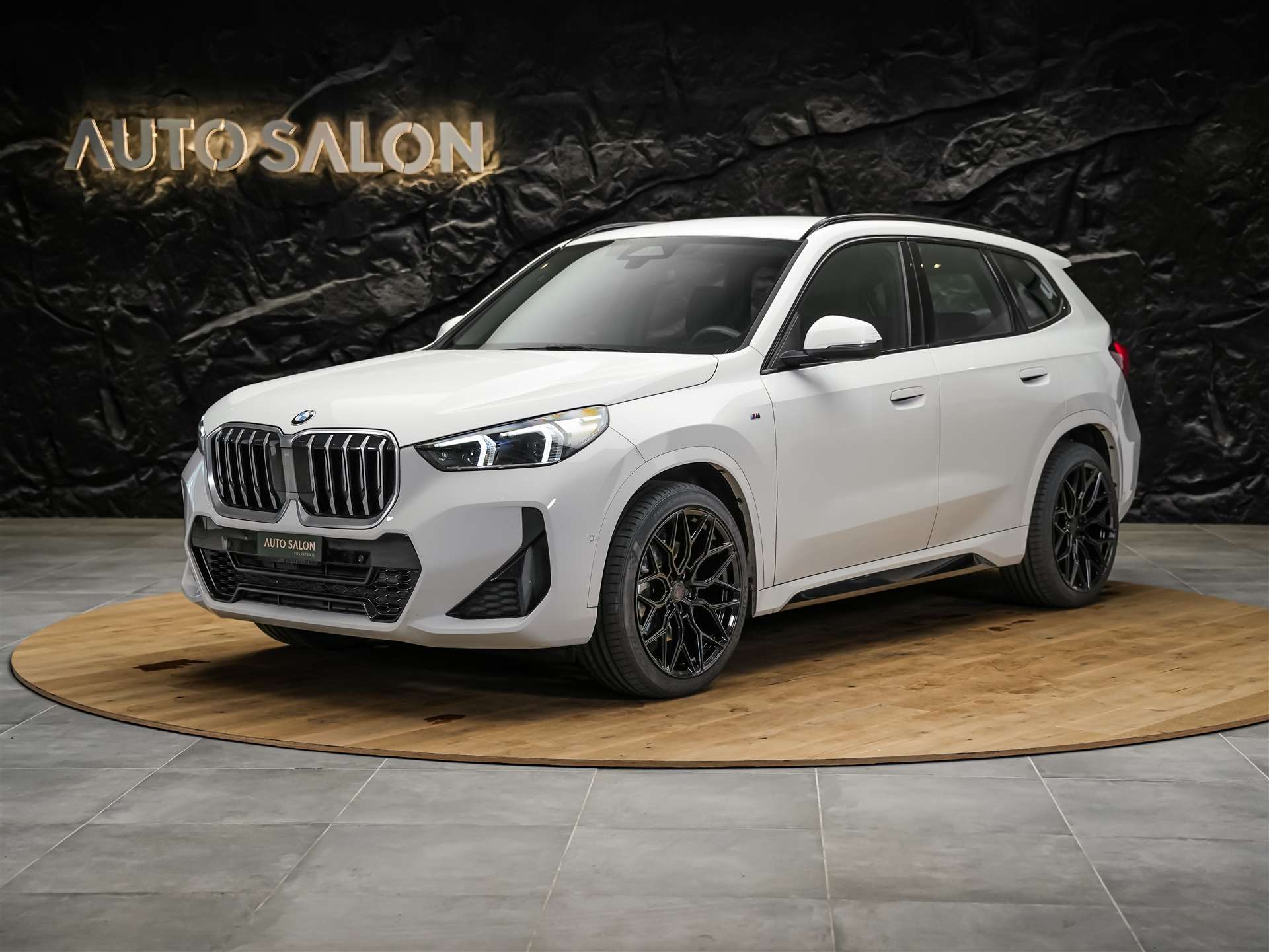 BMW X1 xDrive 23d M Sport *20" Felgen*Werksgarantie*AHK*-showroom-element-1