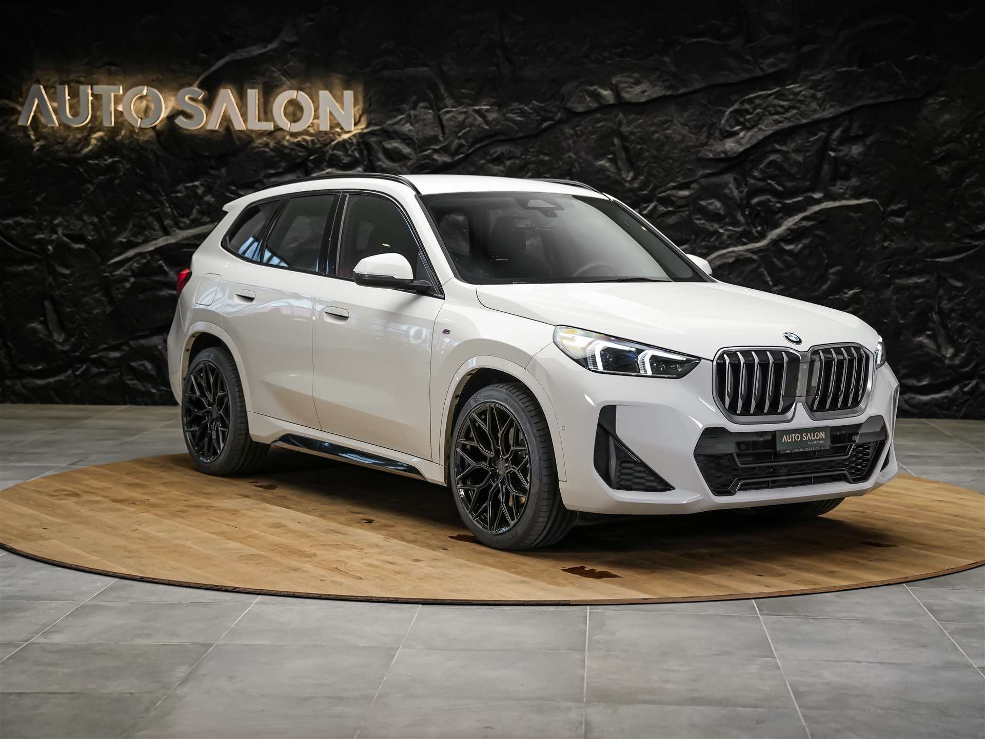 BMW X1 xDrive 23d M Sport *20" Felgen*Werksgarantie*AHK*-image-6