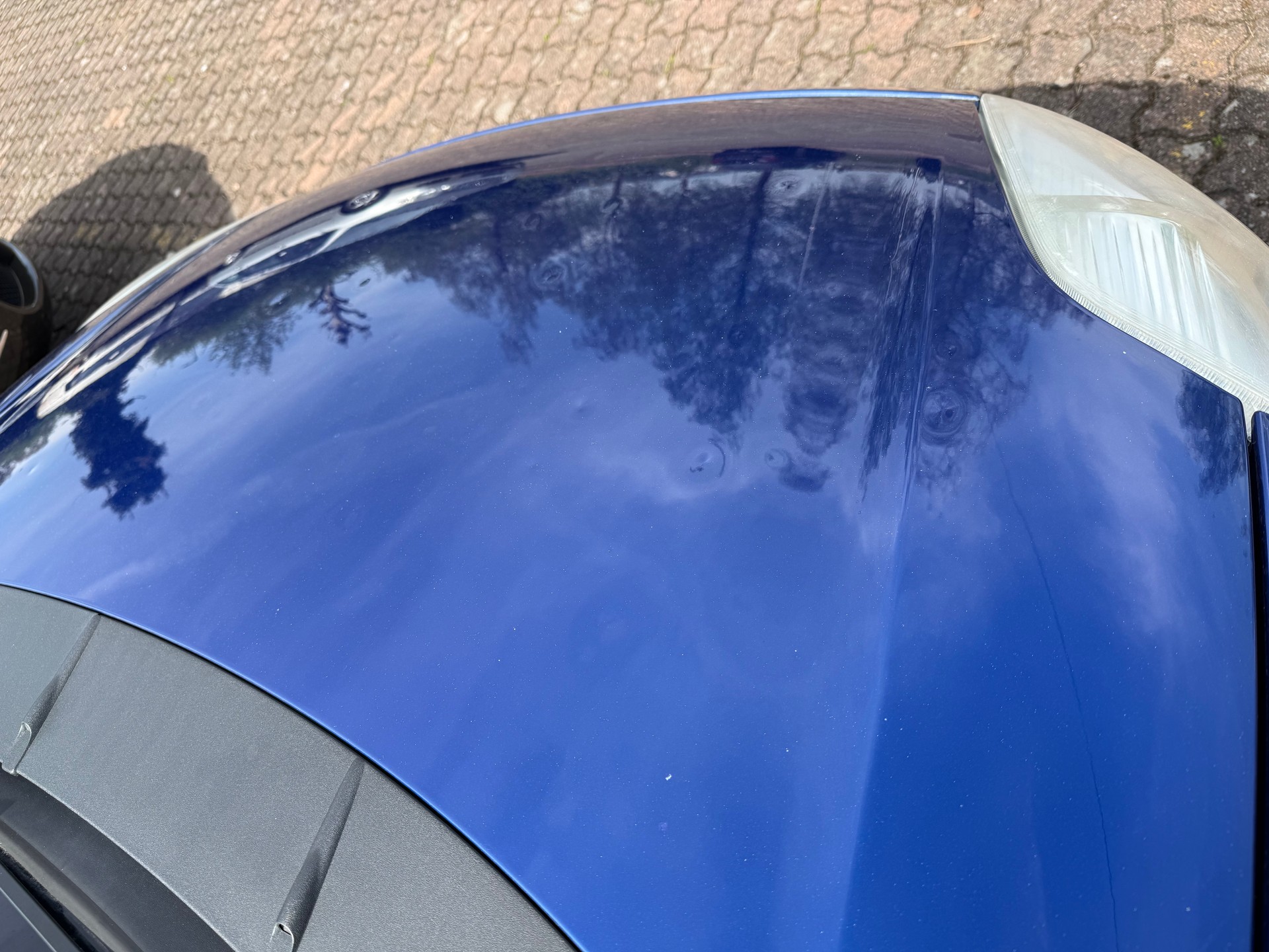 FIAT Punto 1.4 Active-image-13