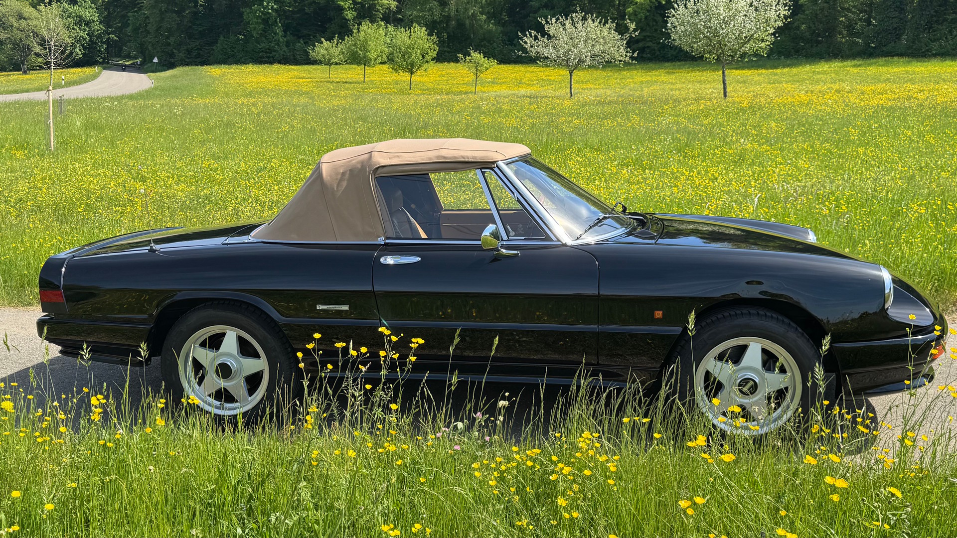ALFA ROMEO Spider 2.0-image-1
