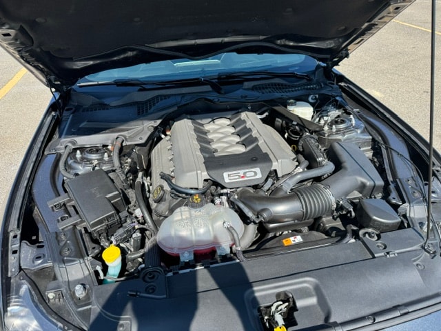 FORD Mustang Fastback 5.0 V8 GT Automat-image-8