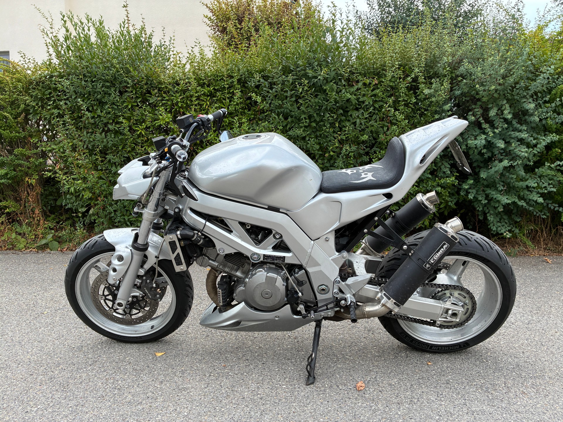 SUZUKI SV 1000-image-0