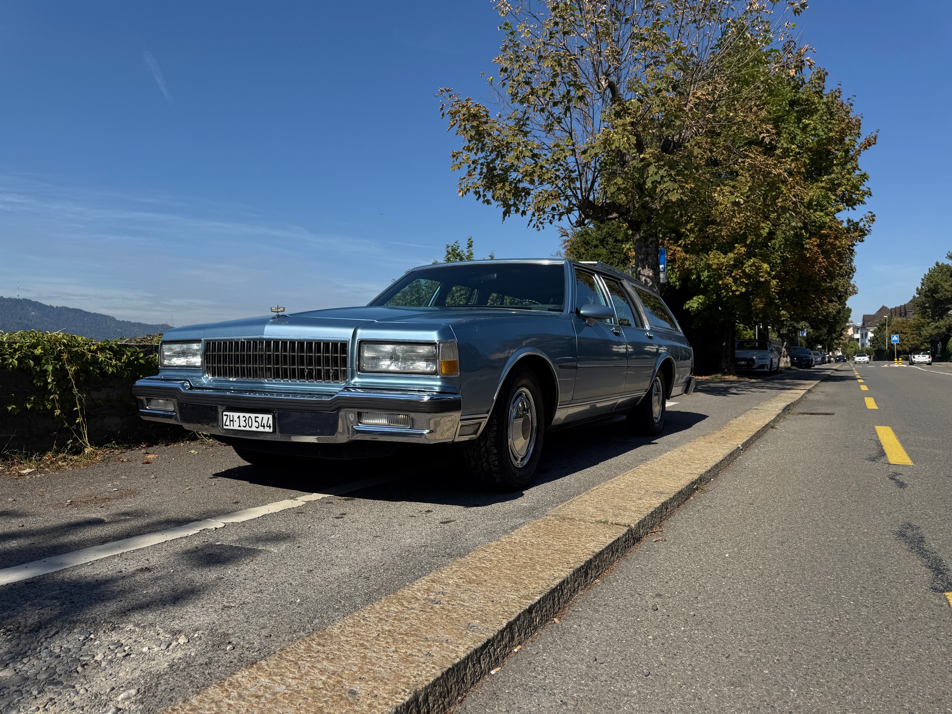 CHEVROLET Caprice Wagon-image-1