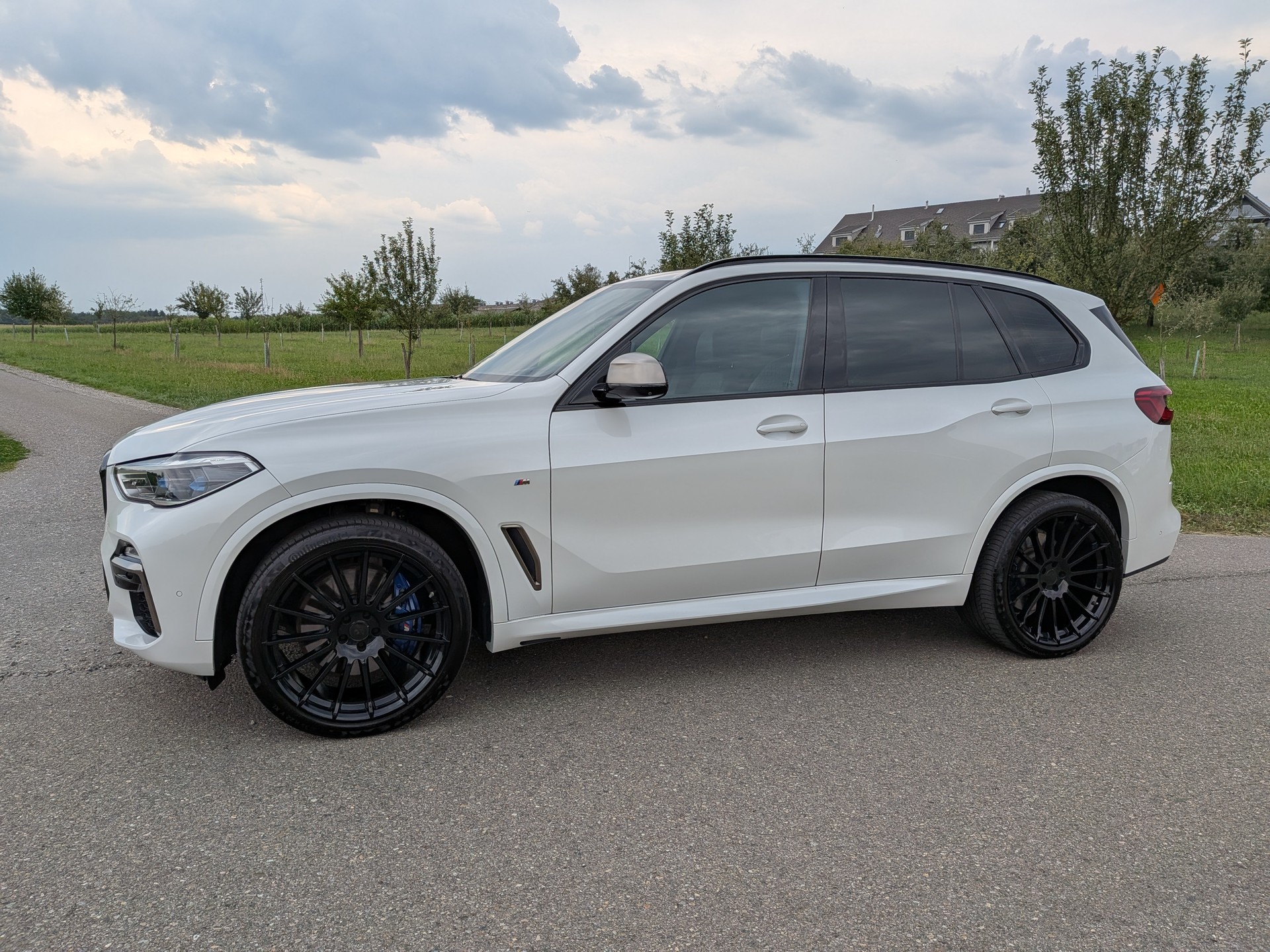 BMW X5 xDrive M50d Steptronic-showroom-element-2
