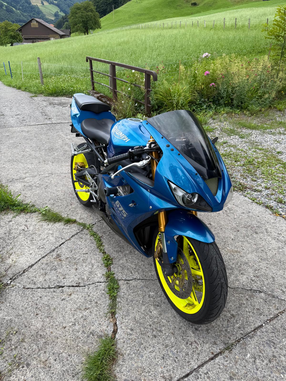 TRIUMPH Daytona 675-image-4