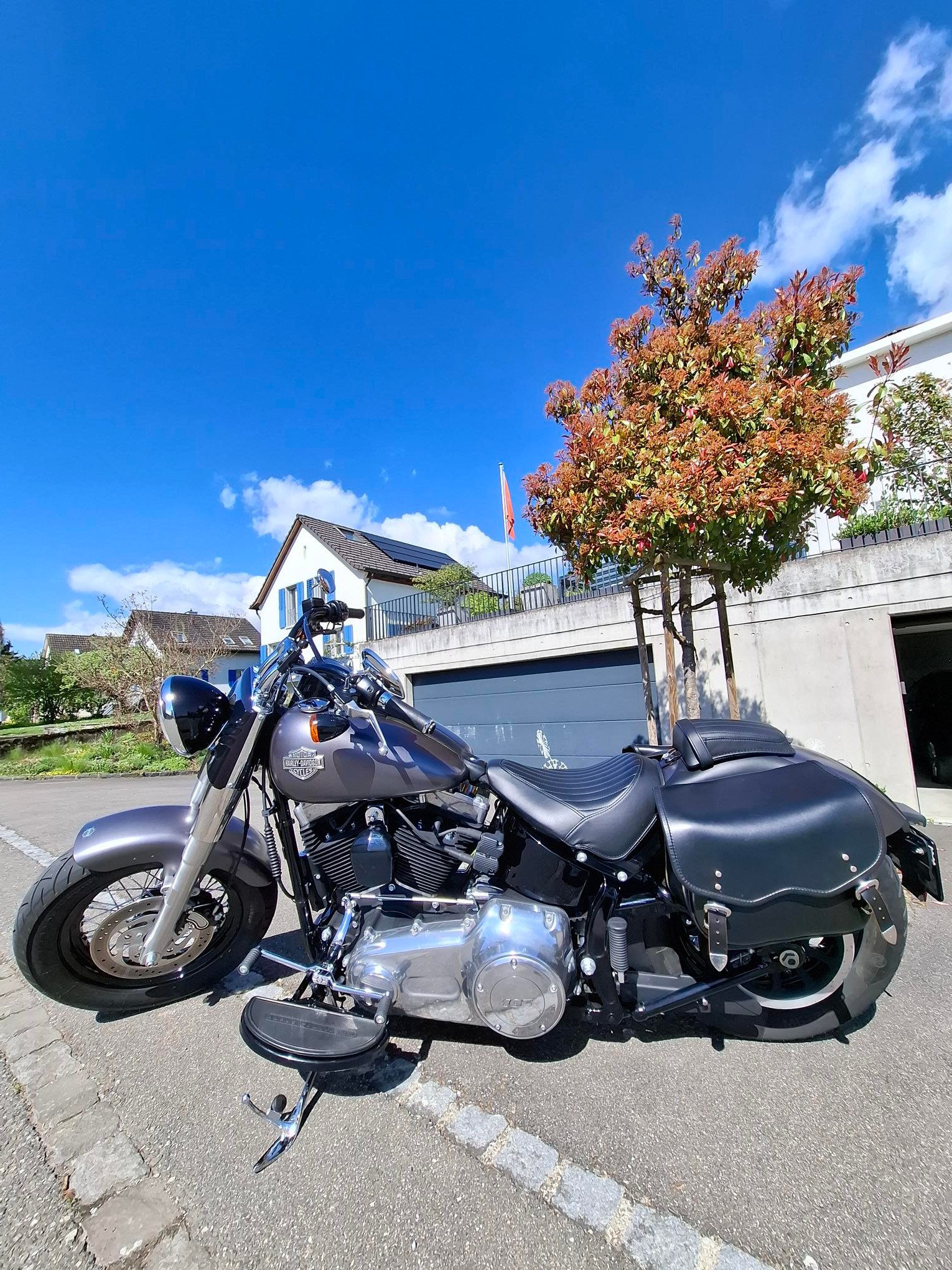 HARLEY-DAVIDSON FLS Softail Slim ABS
