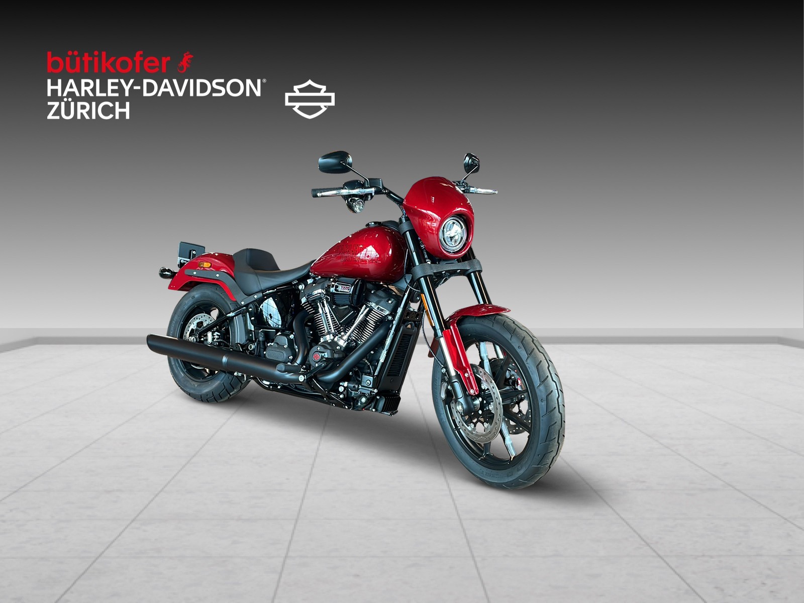 HARLEY-DAVIDSON FXLRS Low Rider S 117-image-1
