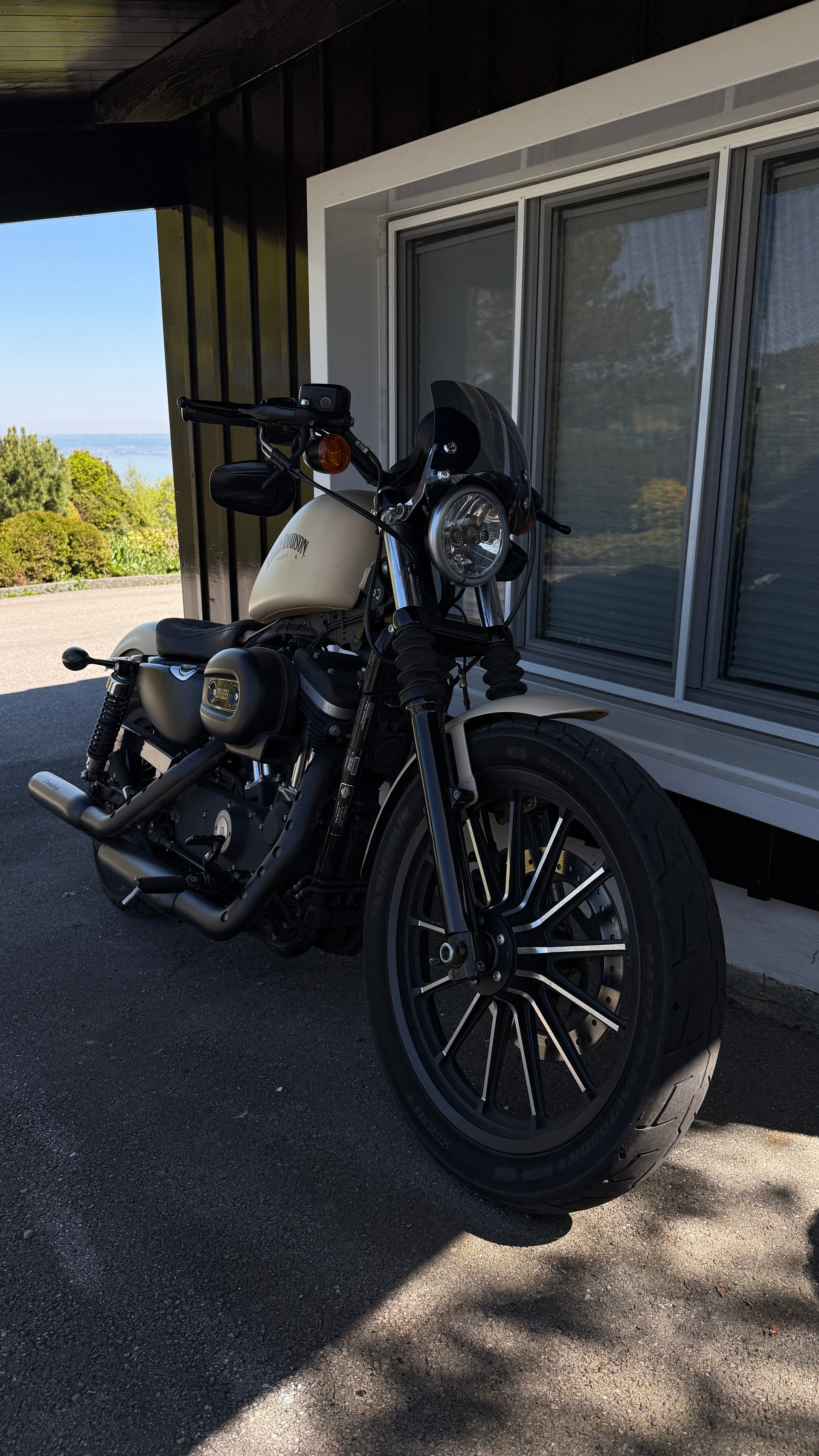 HARLEY-DAVIDSON XL 883 N Sportster Iron ABS-image-4