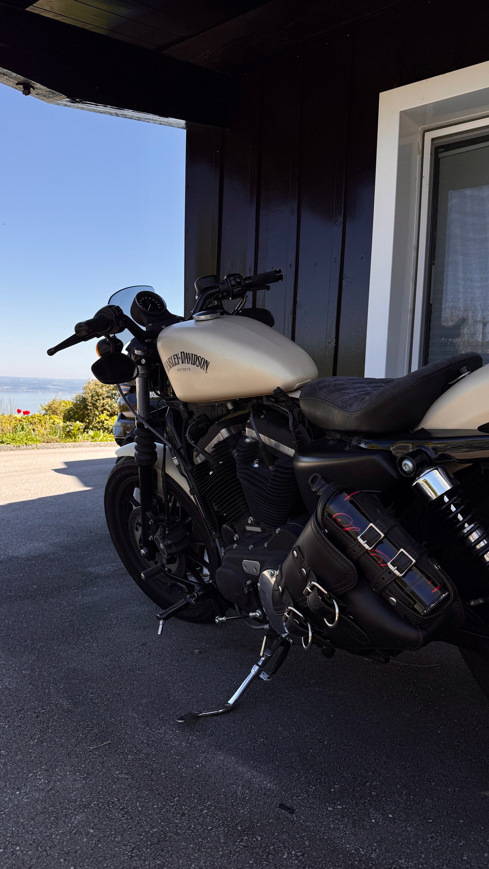 HARLEY-DAVIDSON XL 883 N Sportster Iron ABS-image-5