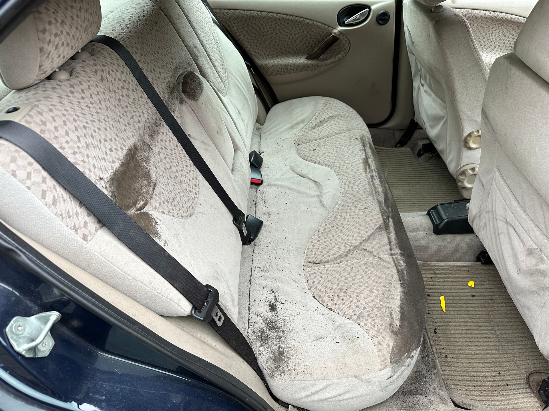 ROVER 25 1.6 16V Charme FIXPREIS-image-11