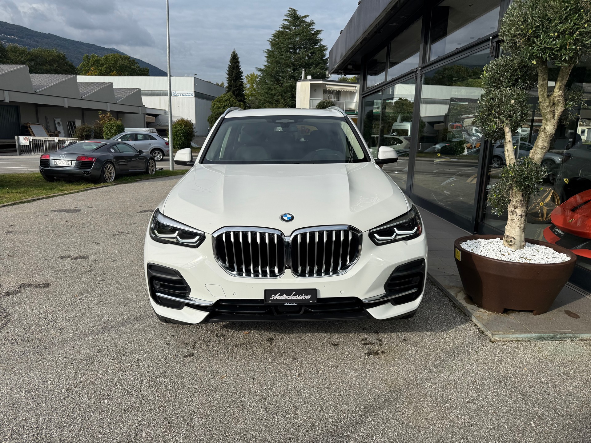 BMW X5 xDrive 48V 30d Steptronic-showroom-element-1