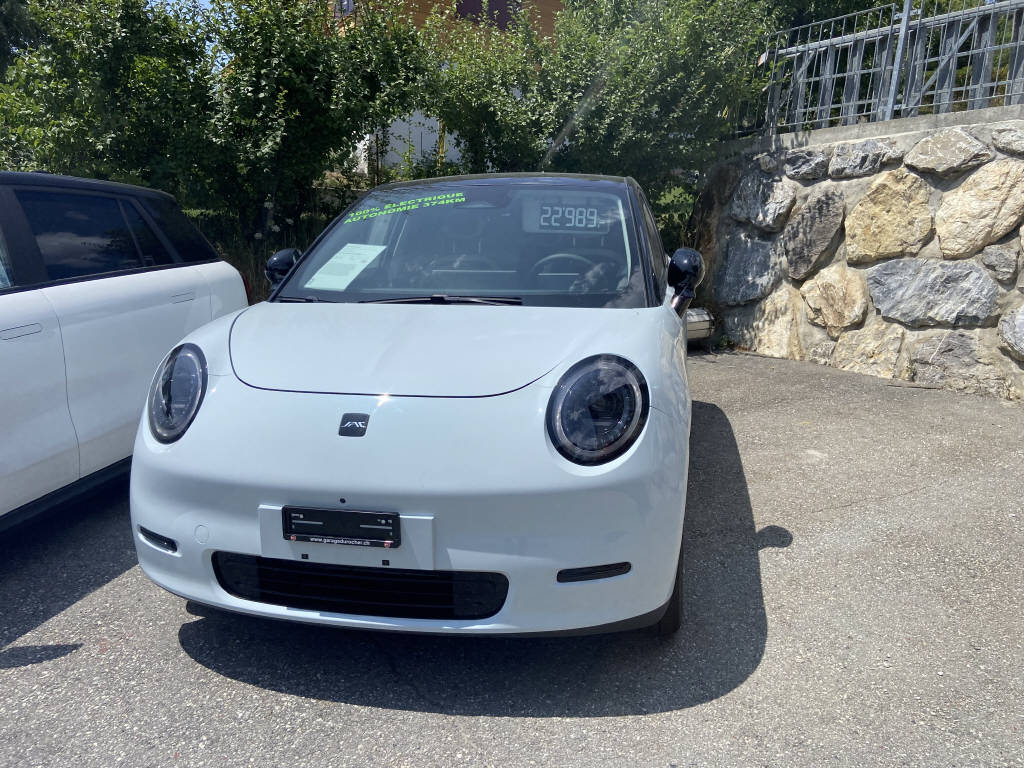 JAC E30X Electric