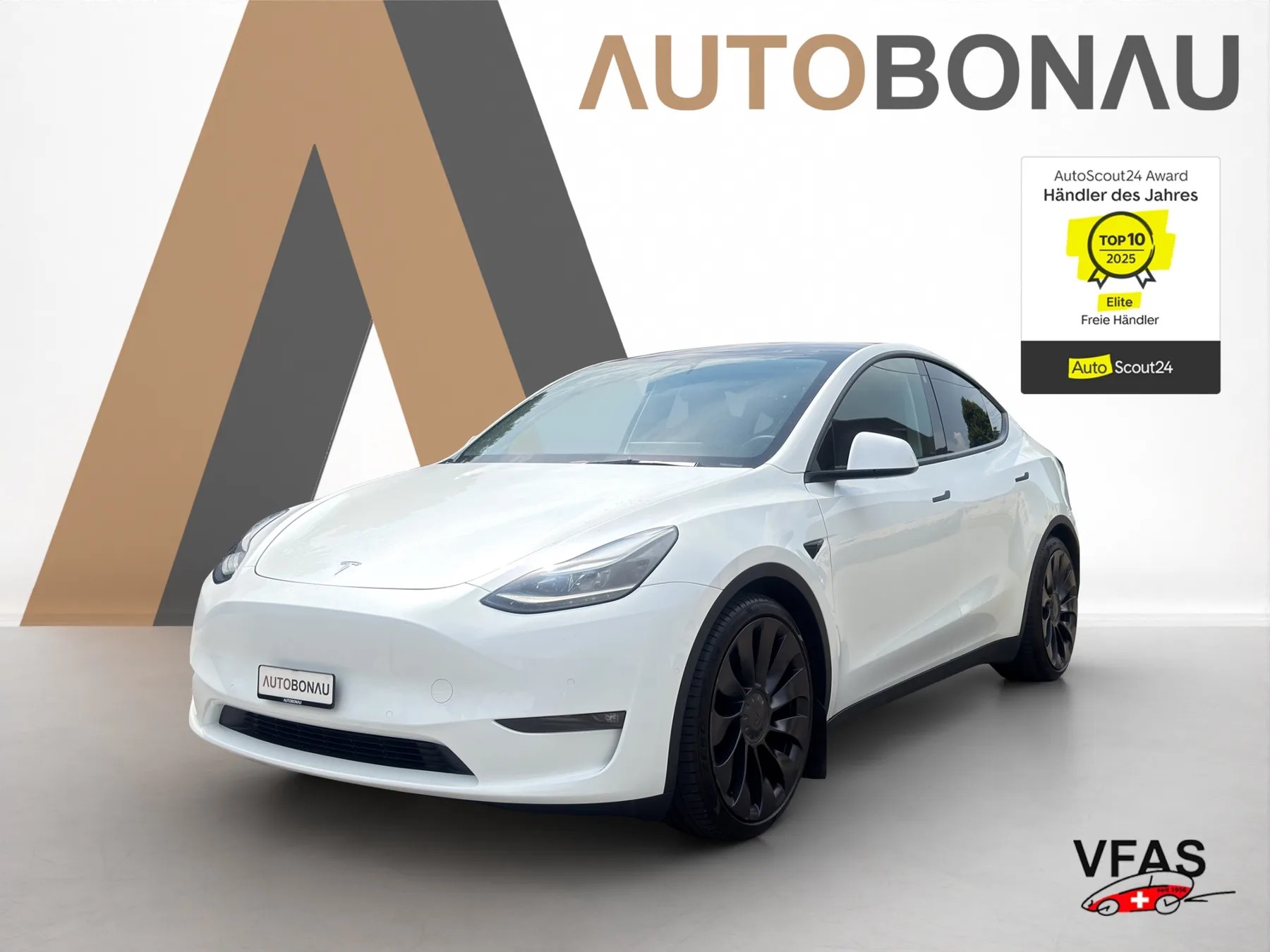 TESLA Model Y Performance D SOH 95.1%