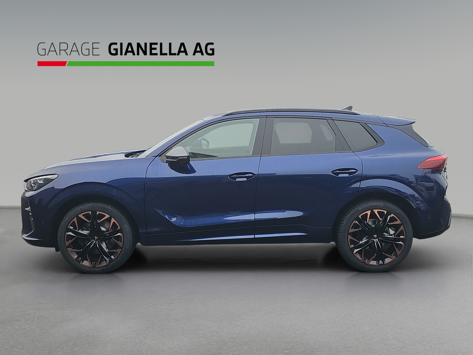 CUPRA Terramar 2.0 TSI DSG 4Drive VZ-showroom-element-1