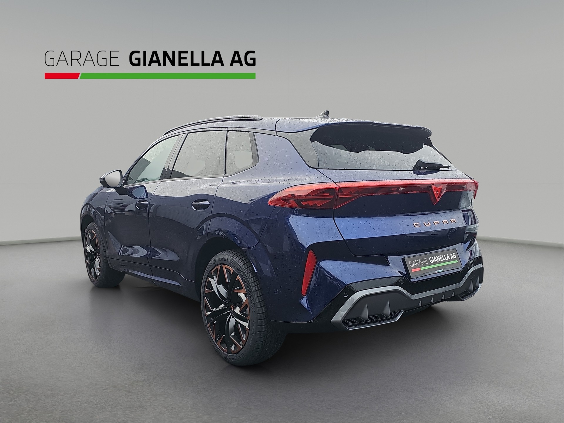 CUPRA Terramar 2.0 TSI DSG 4Drive VZ-showroom-element-2