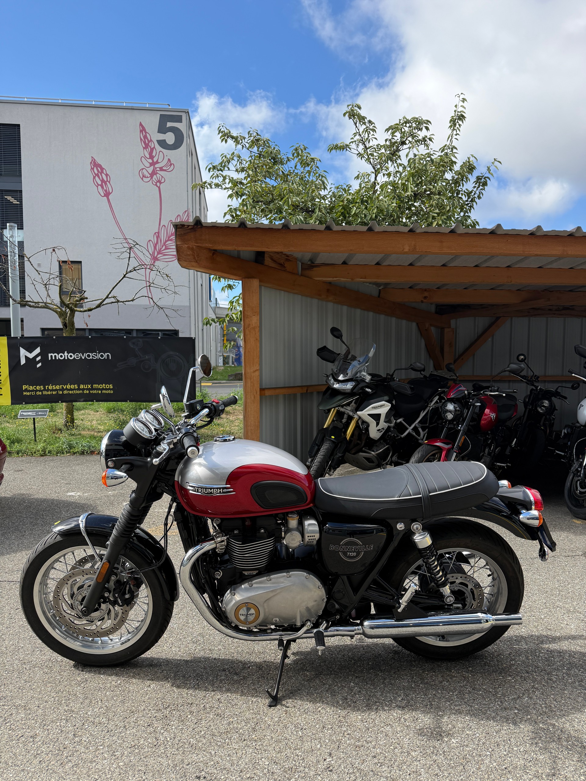 TRIUMPH T120-image-1
