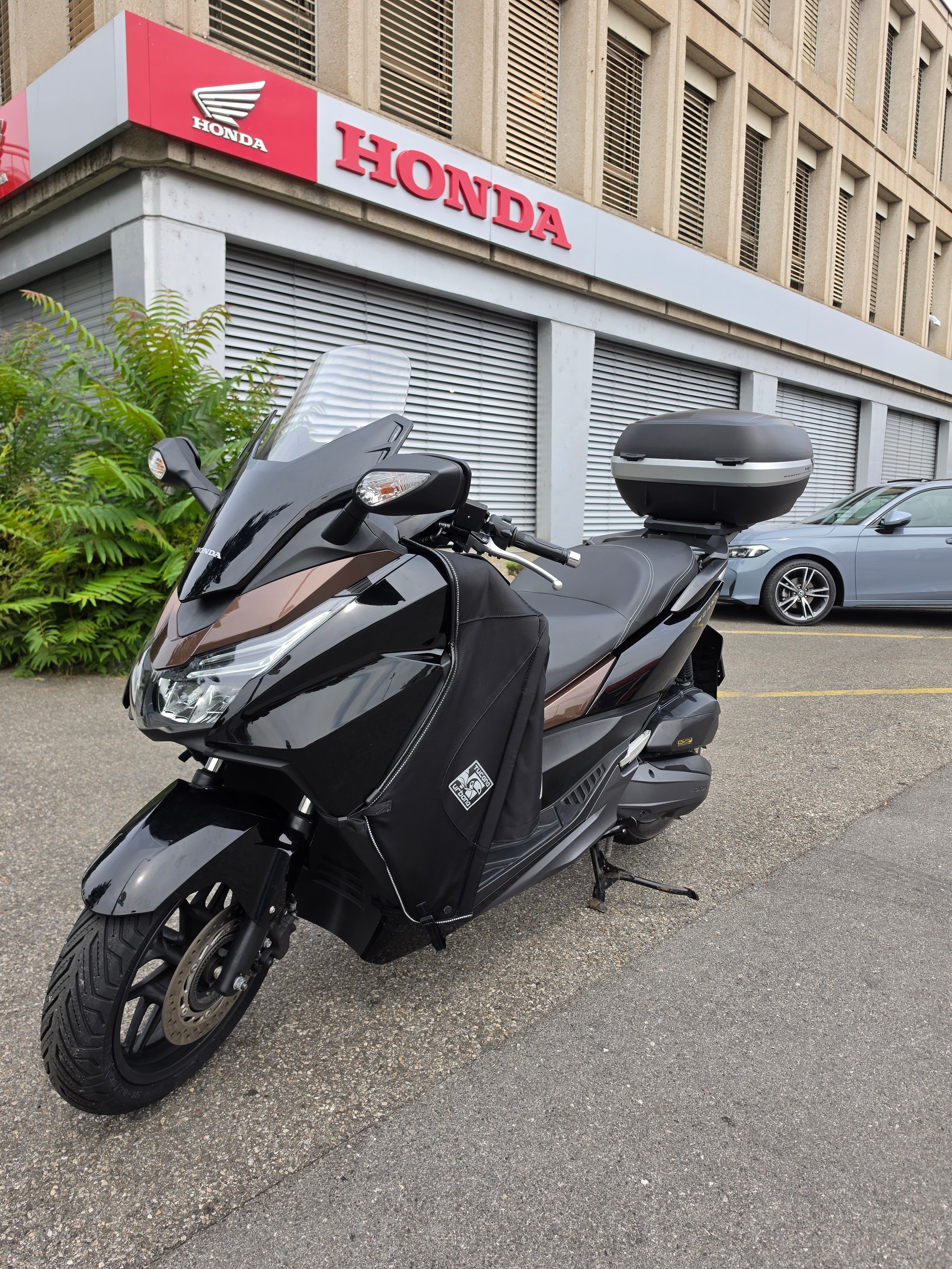 HONDA Nss125 Forza ABS-image-2