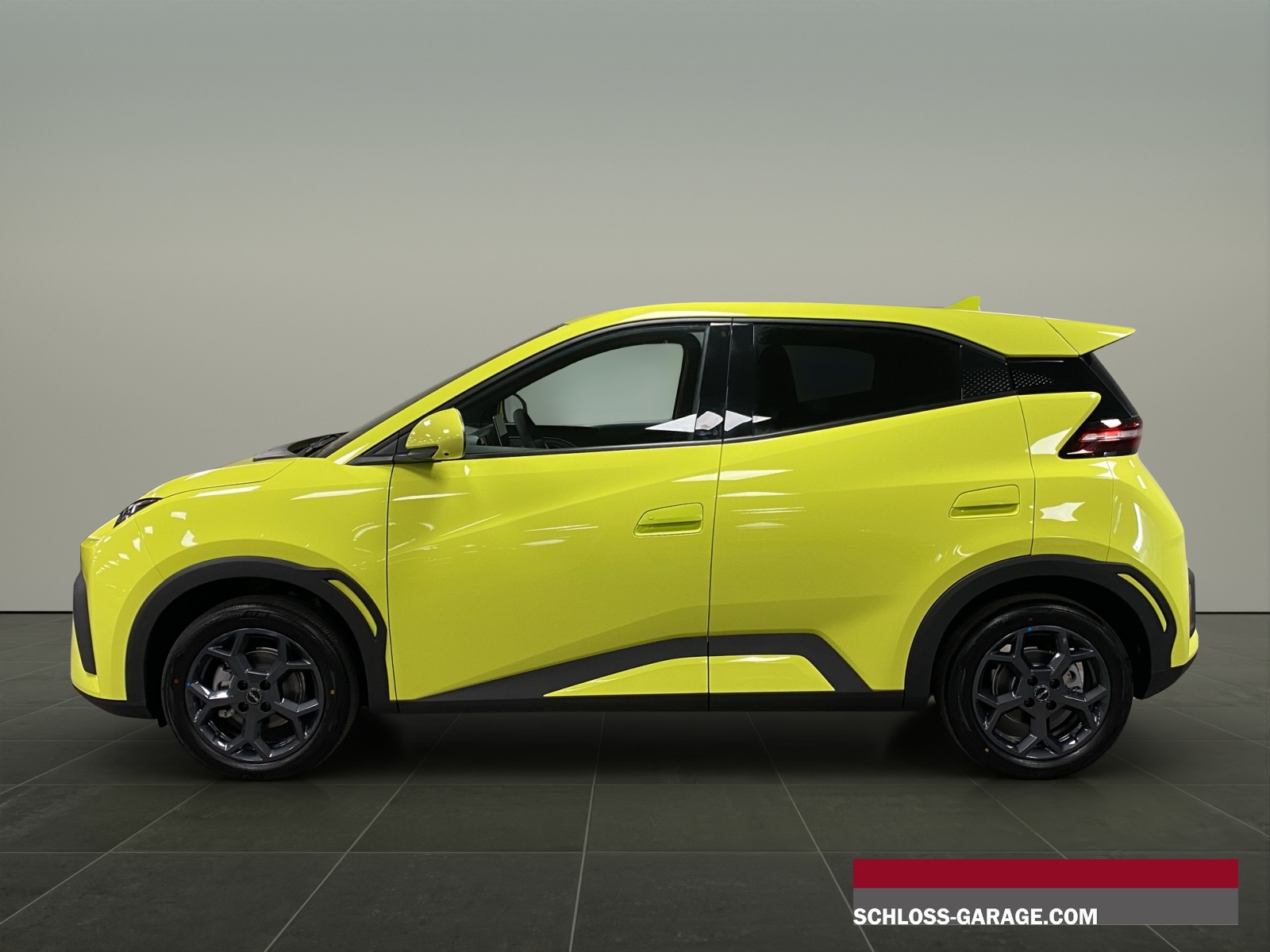 BYD Dolphin Surf Comfort-showroom-element-2