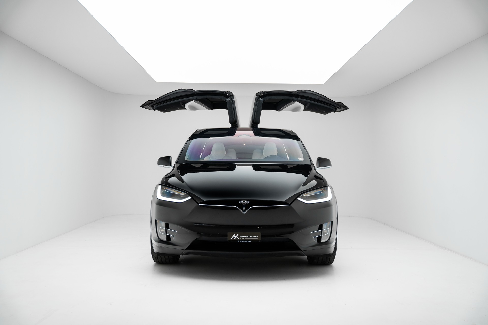 TESLA Model X 100 D-showroom-element-1