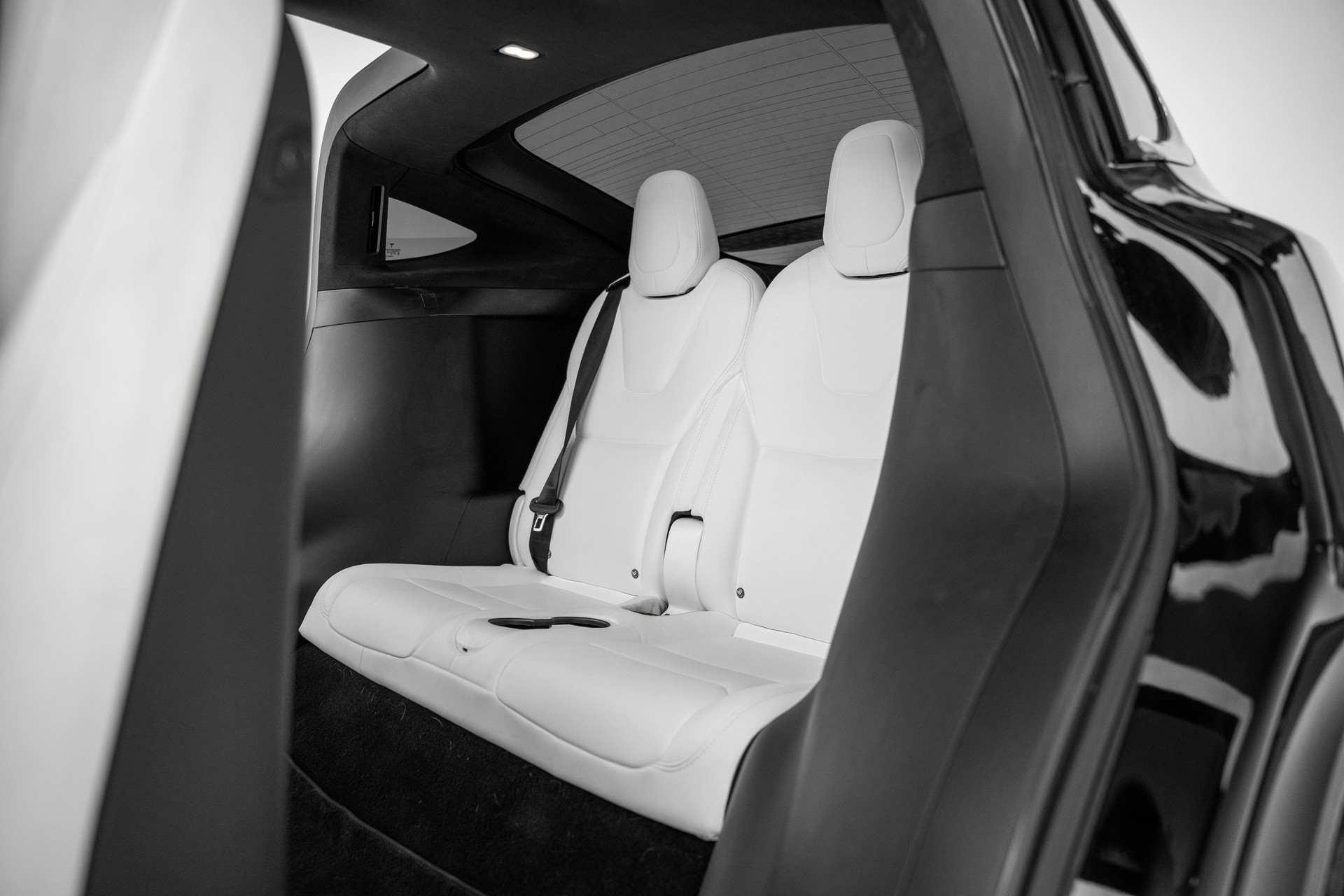 TESLA Model X 100 D-image-17