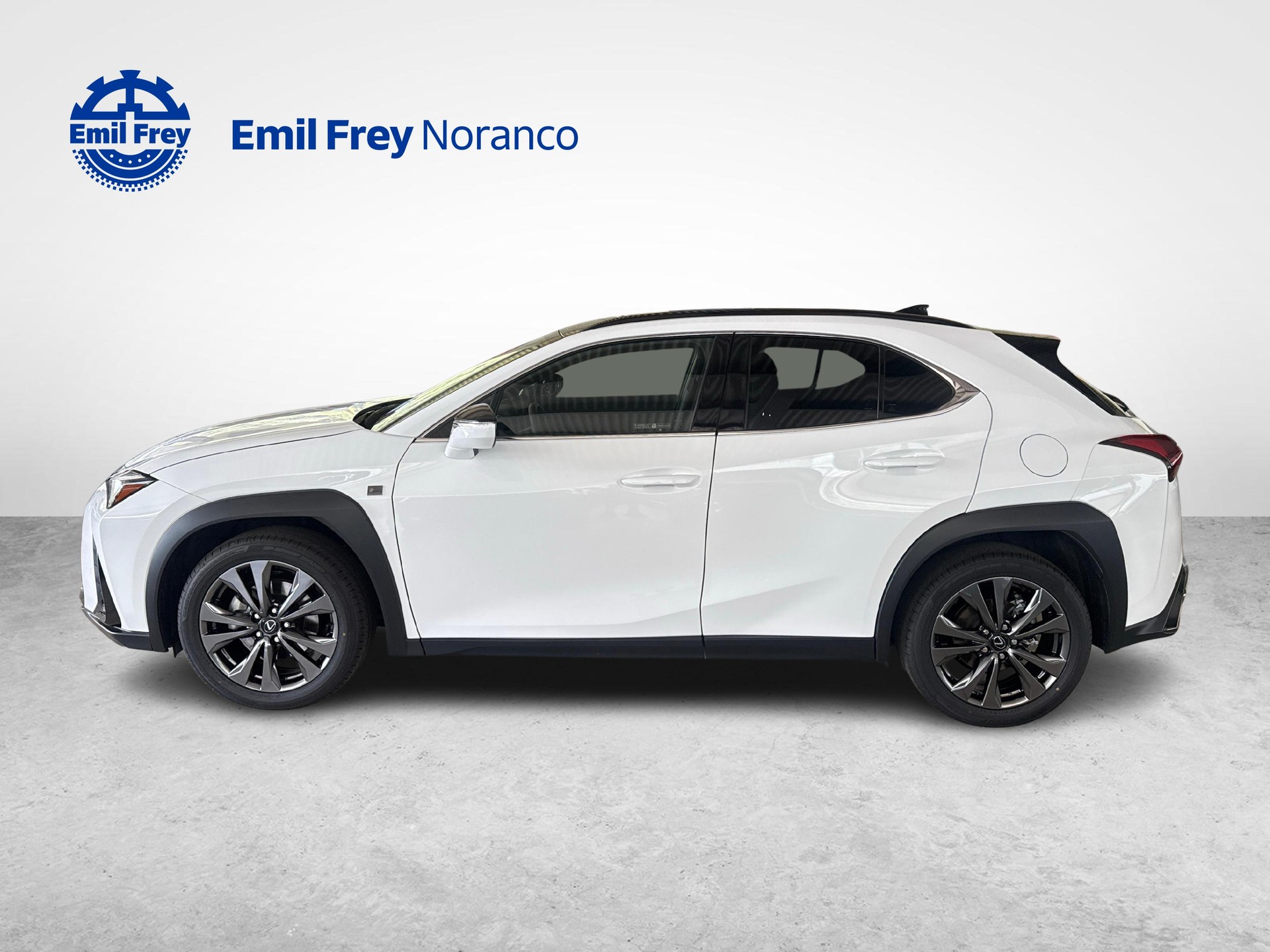 LEXUS UX 300h F-Line - Ruote invernali incluse-showroom-element-1