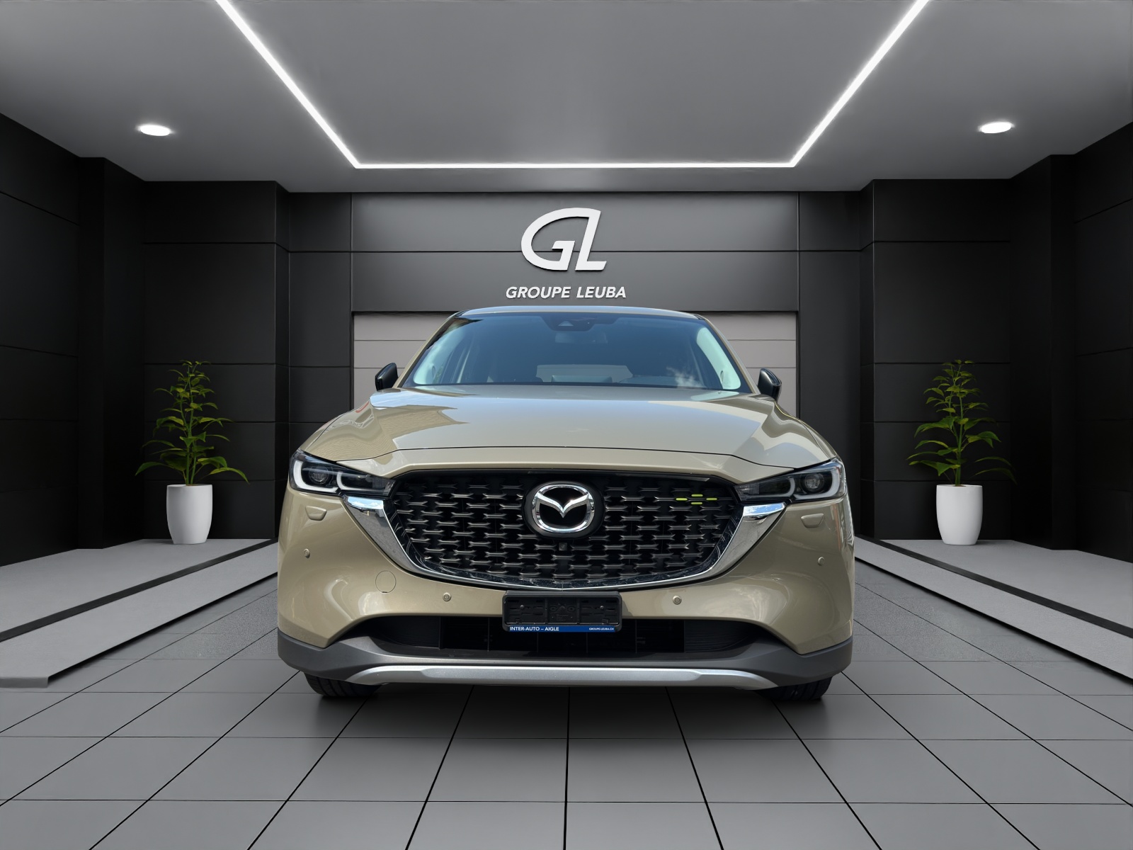 MAZDA CX-5 SKYACTIV-G 194 Newground AWD Automat-showroom-element-1