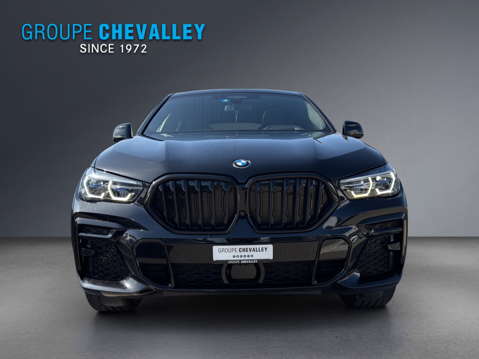 BMW X6 xDrive 48V 40d Steptronic M Sport-showroom-element-1