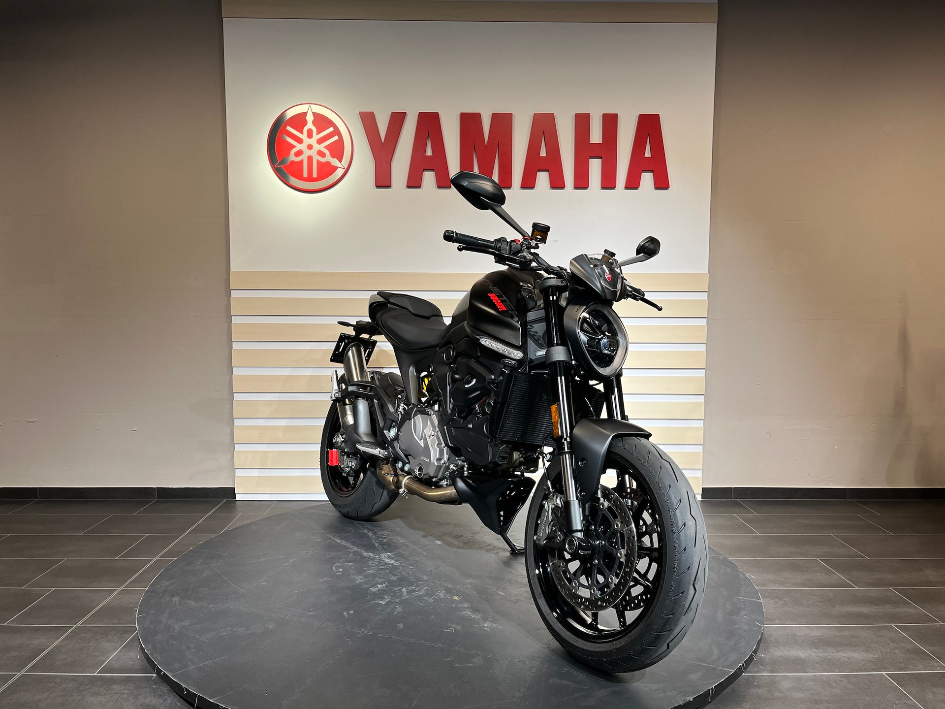 DUCATI Monster +-image-0